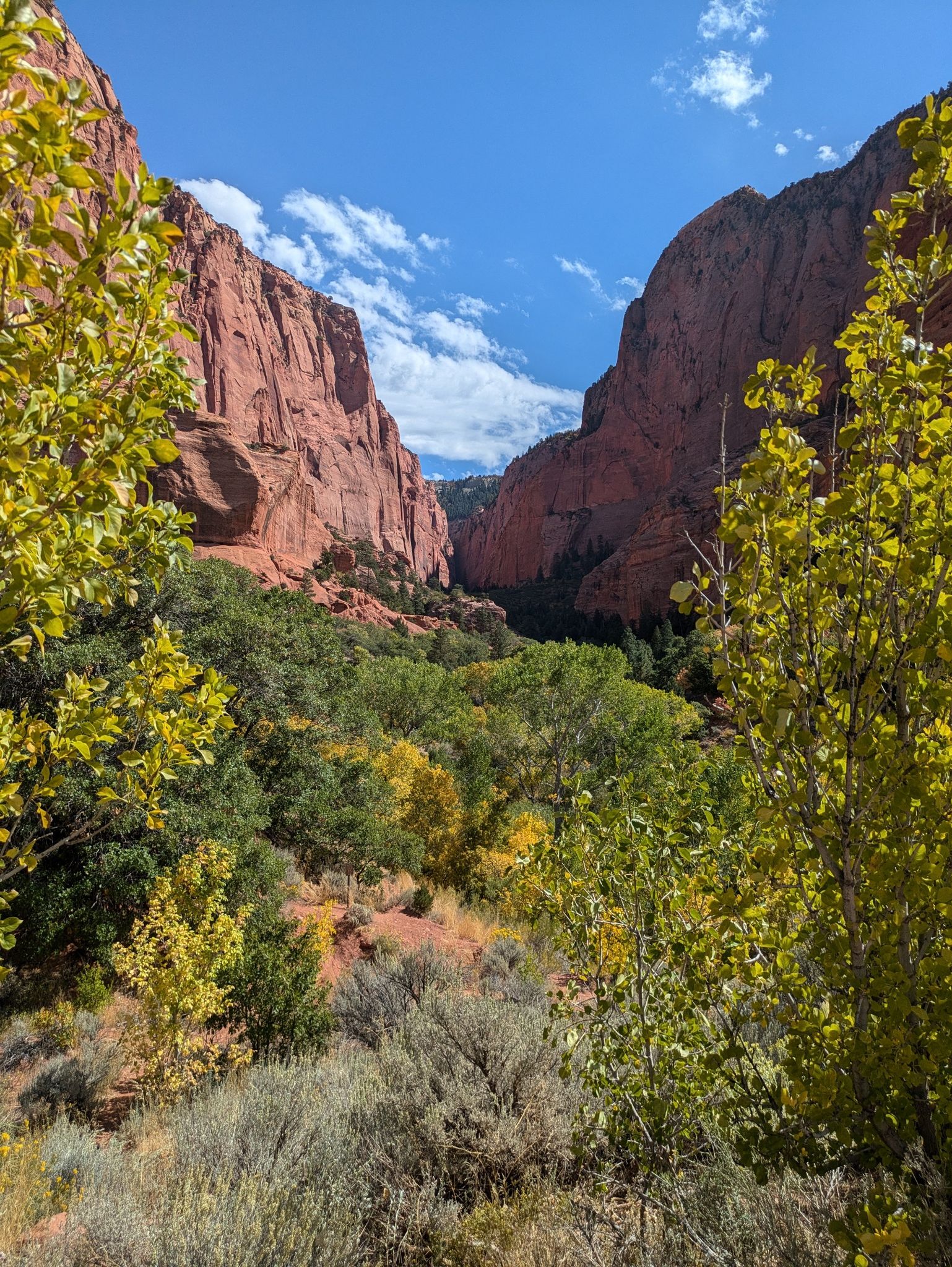 Deep canyon with towering red cliffs, vibrant green and yellow trees under a blue sky. - Kolob Canyon Scenic Drive