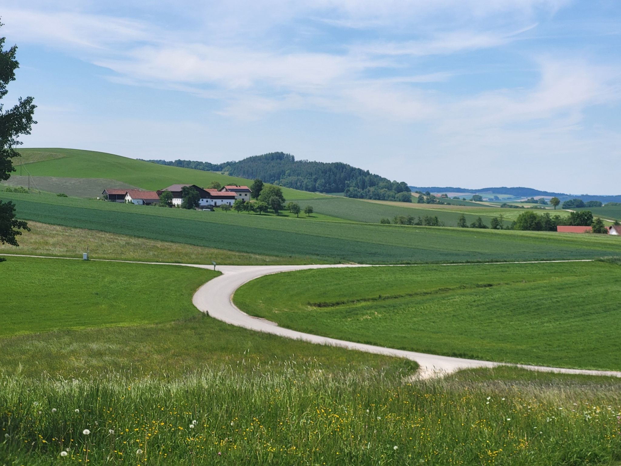 Vor uns Großenreith
