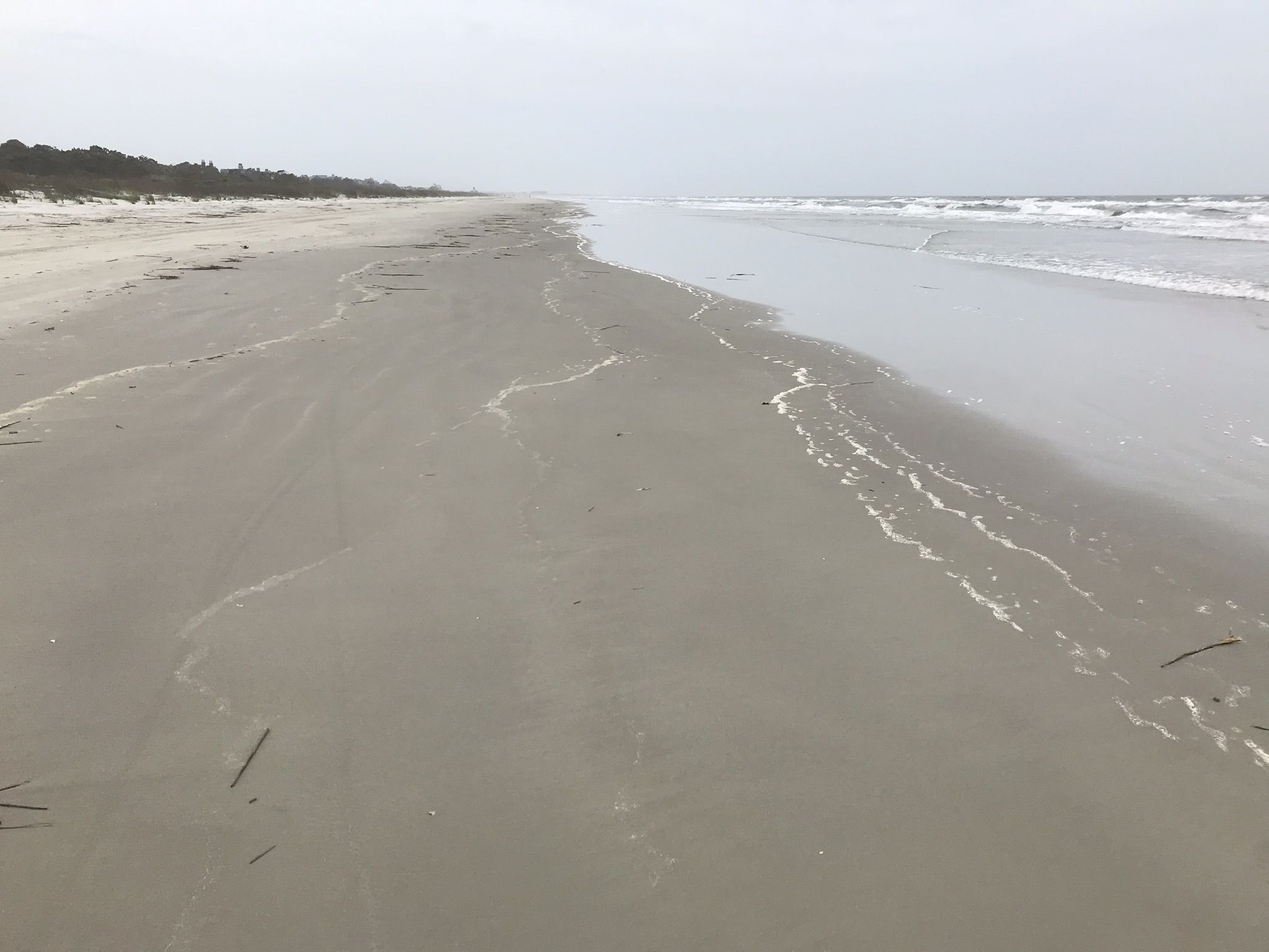 Overcast day on a vast, empty sandy beach with gentle ocean waves. - Pond 050 – Kiawah Island Bike Trail loop from Kiawah Island