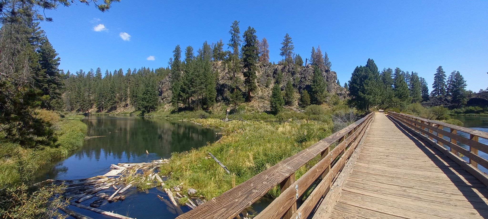 Wooden boardwalk alongside a calm river with log debris and pine trees. - Black Rock and Sun-Lava Trail Loop