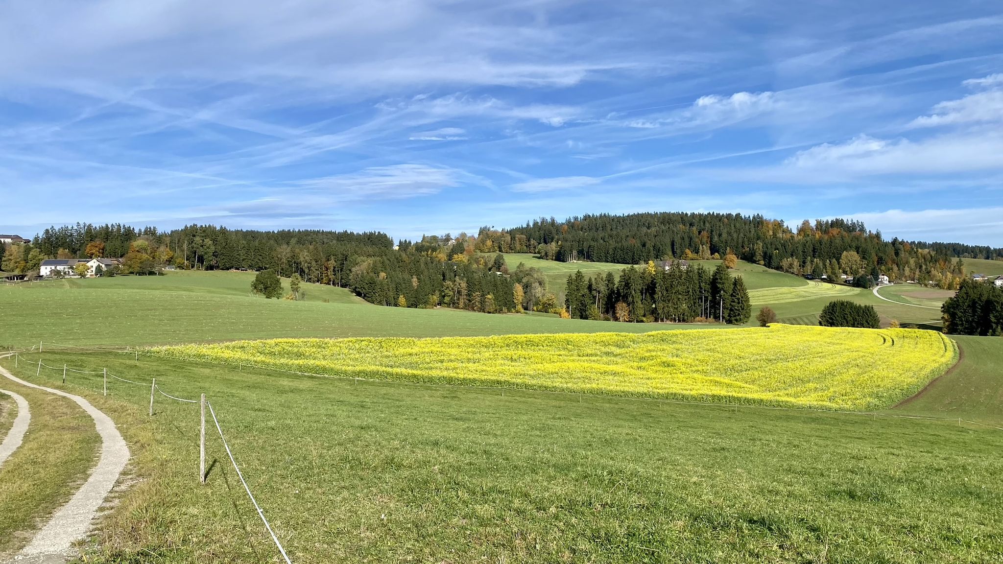 bei Lobenstein Richtung Norden