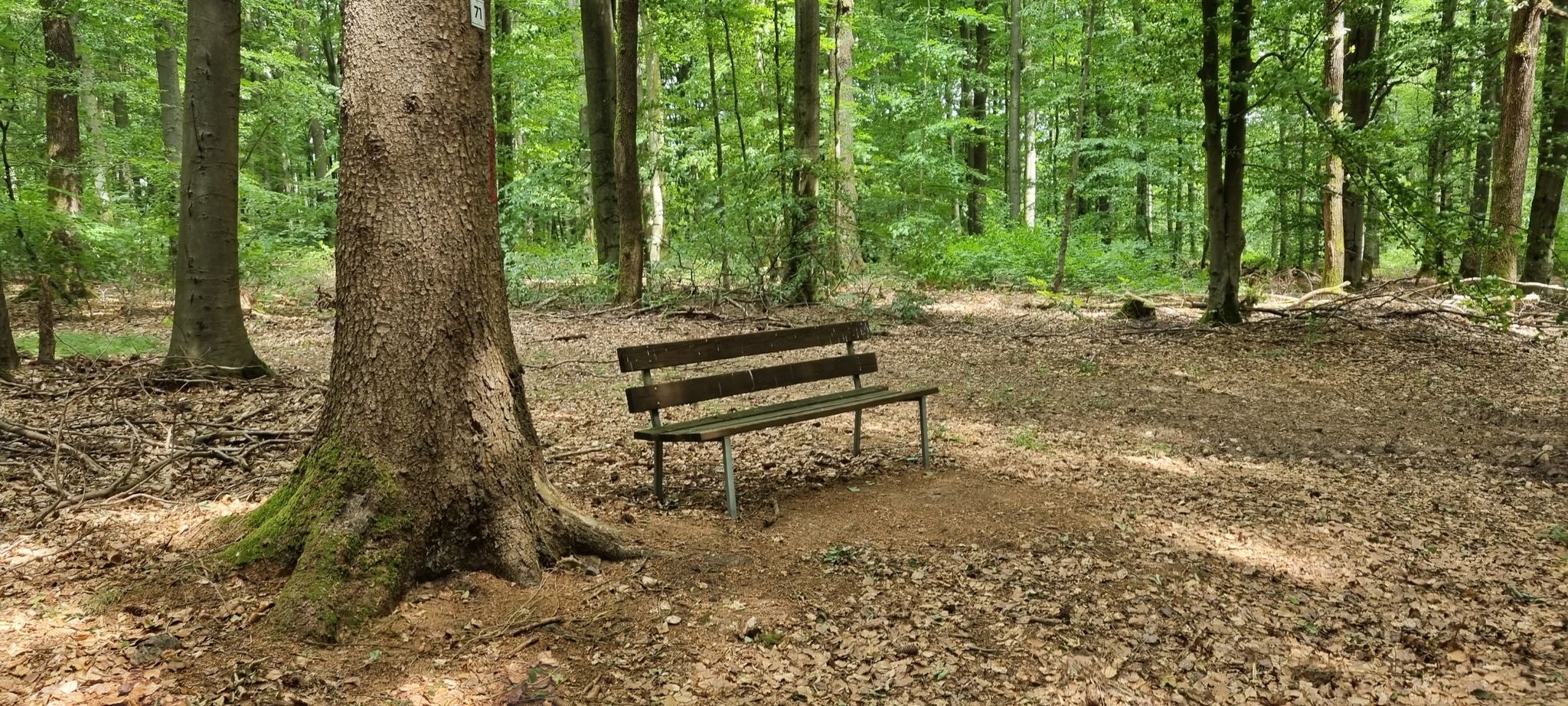 überraschend