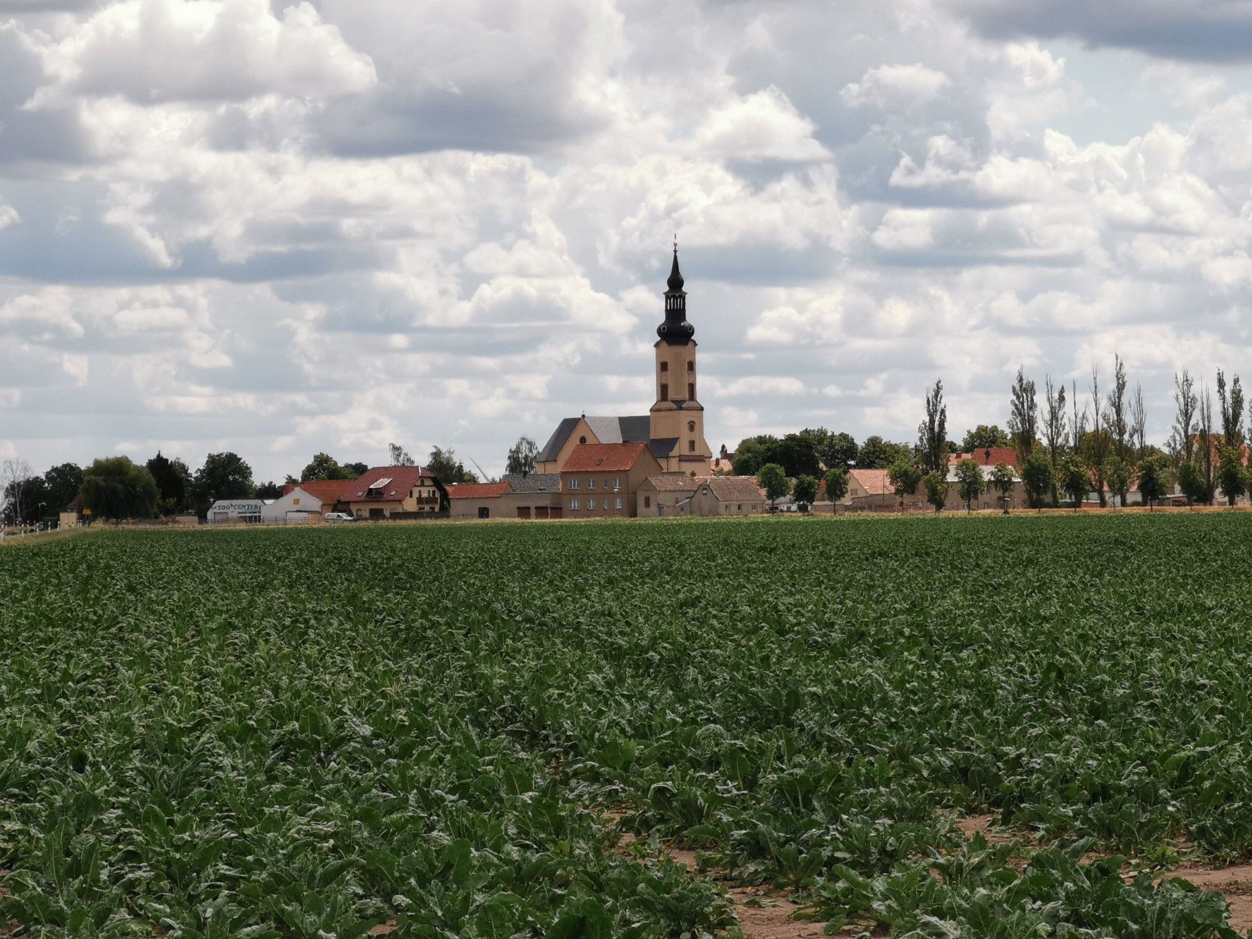 Klepzig