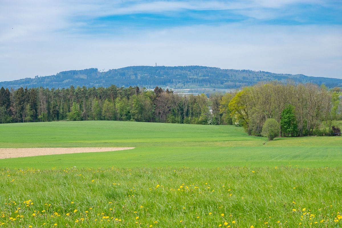 Blick zum Gehrenberg