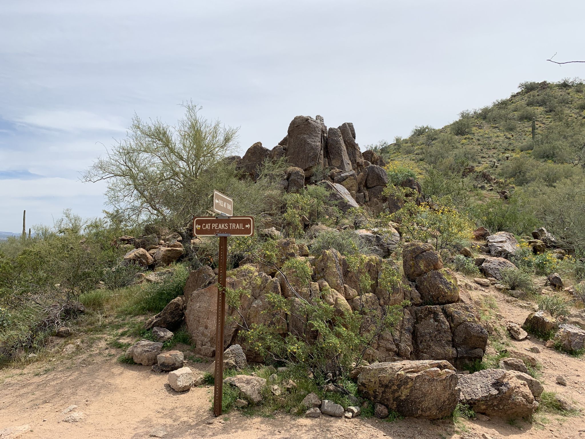 A trail signpost on a rocky desert path under an overcast sky. - Blevins Trail – South Cat Peak loop from KVVA-FM (Apache Junction)