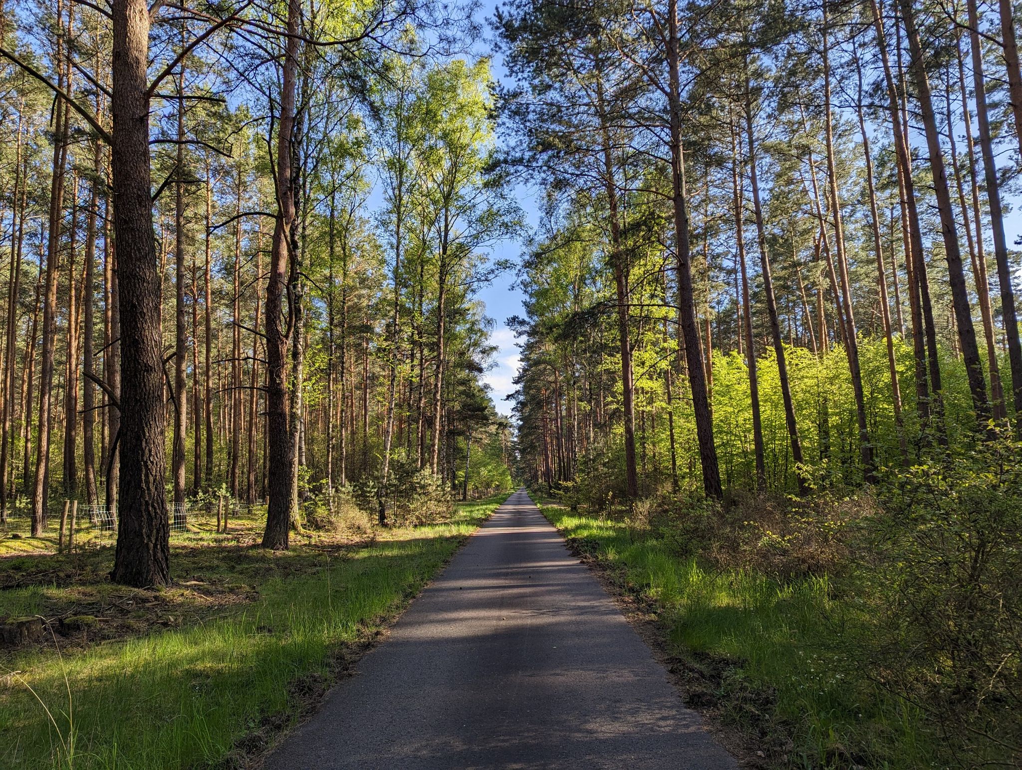 auf dem Weg nach Reicherskreuz