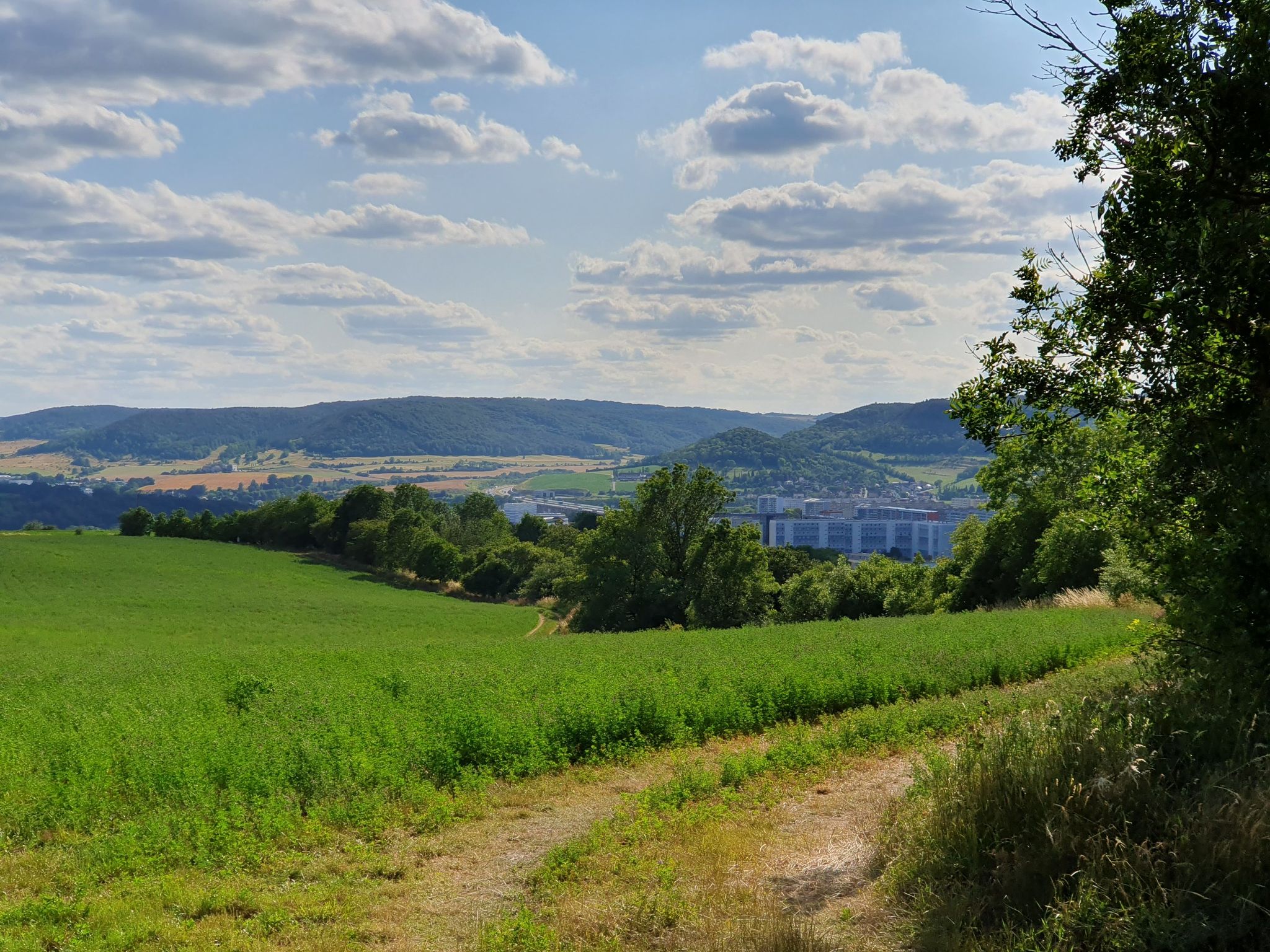 Blick auf Lobeda