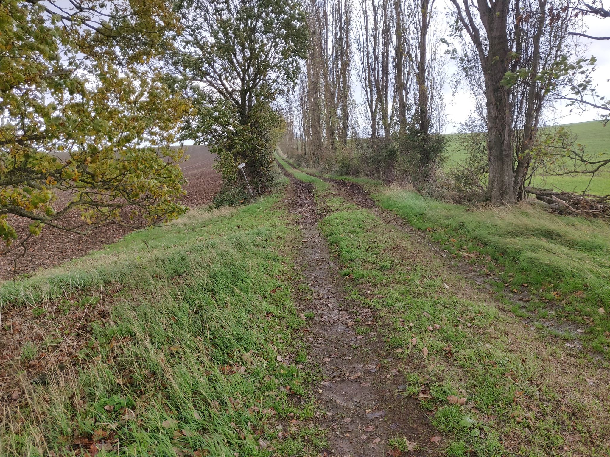 privat Weg