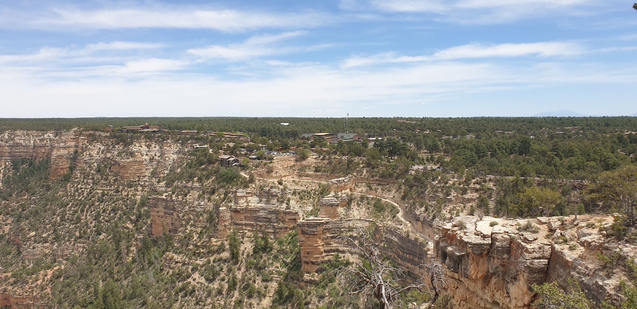 Expansive view of a wide canyon with layered rock formations and green trees. - Bright Angel Trailhead – Hopi Point viewpoint loop from Grand Canyon Village