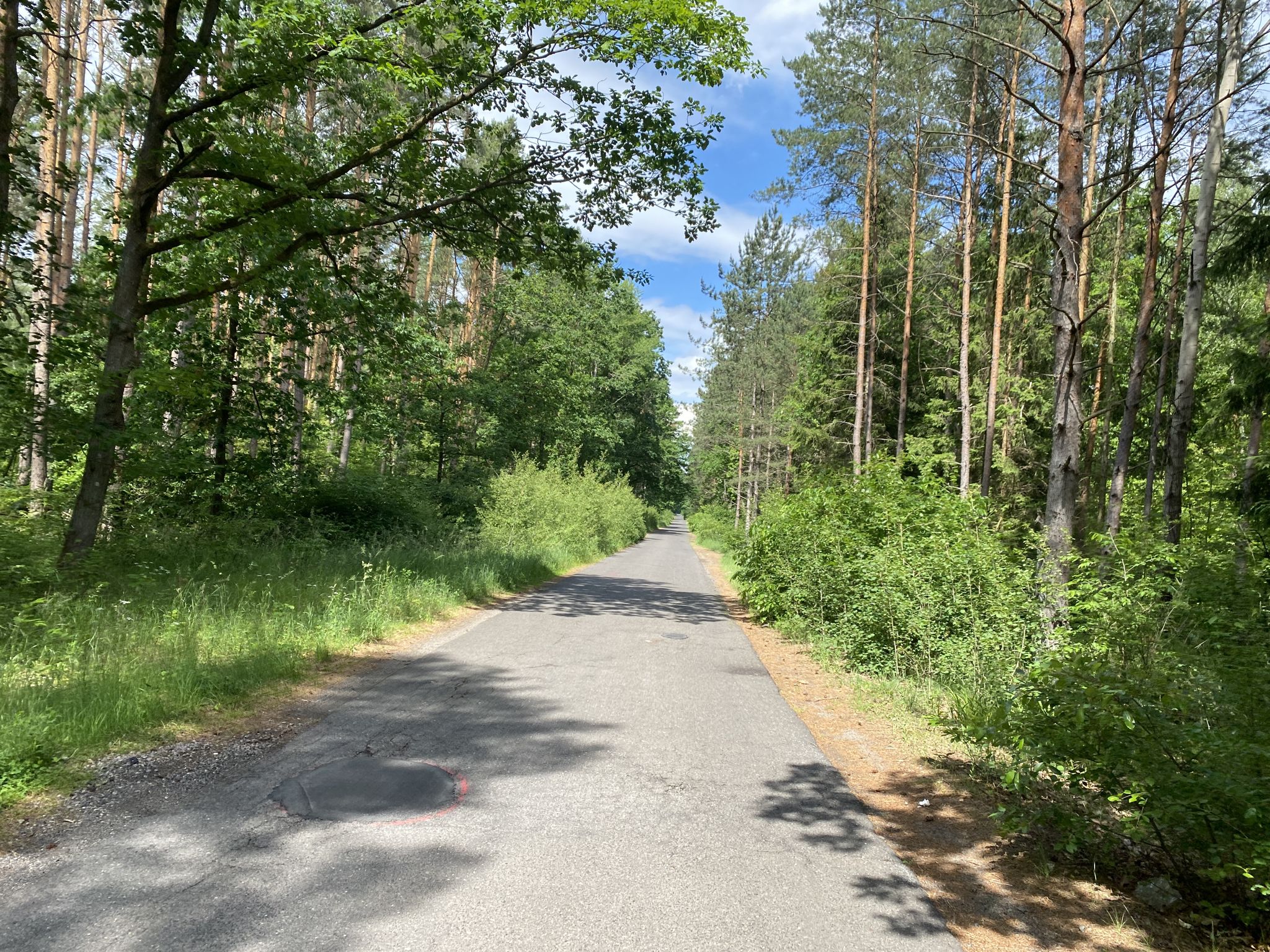 auf einer Nebenstraße Richtung Spitzmühle