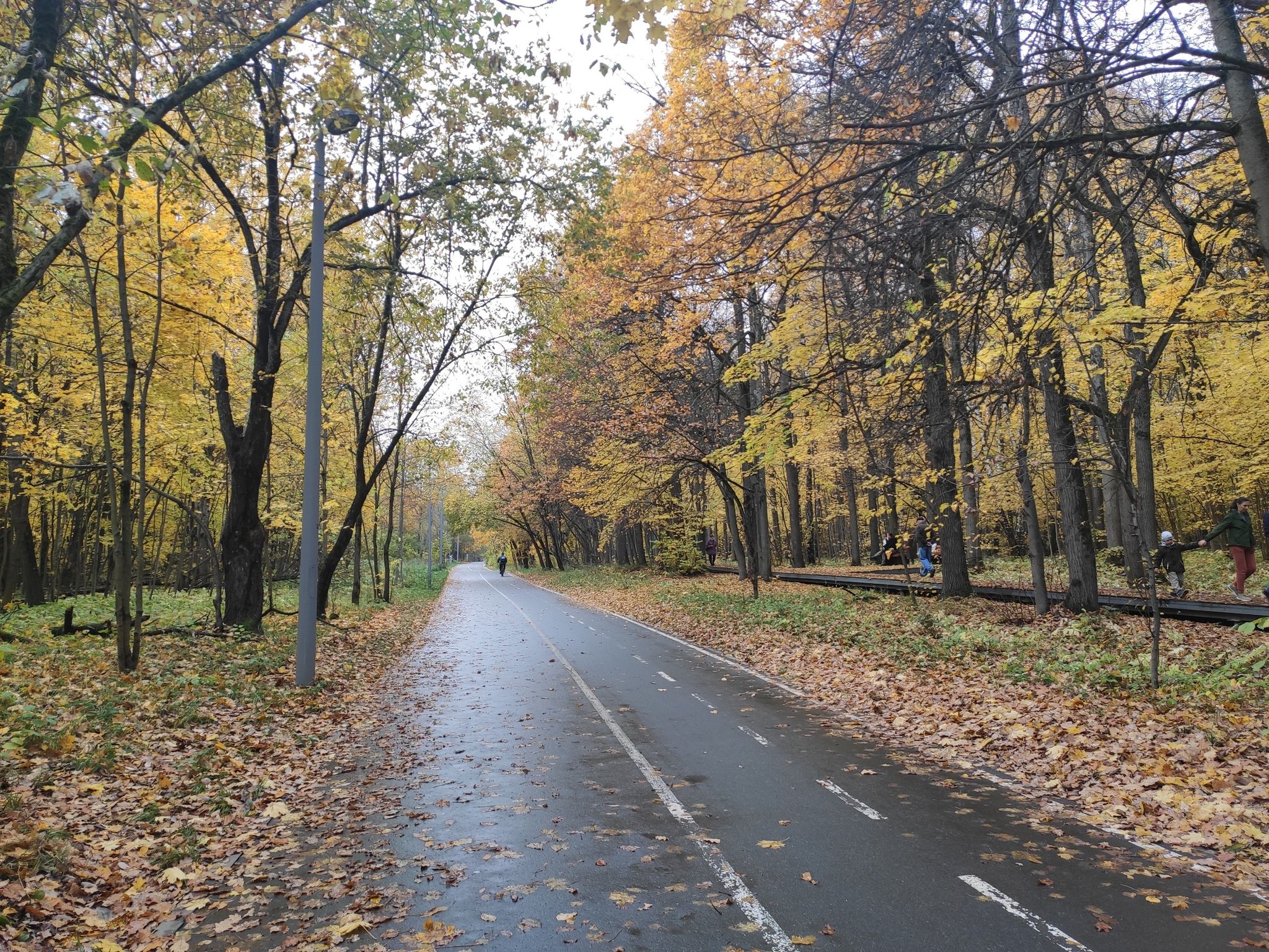 Язеневская alley