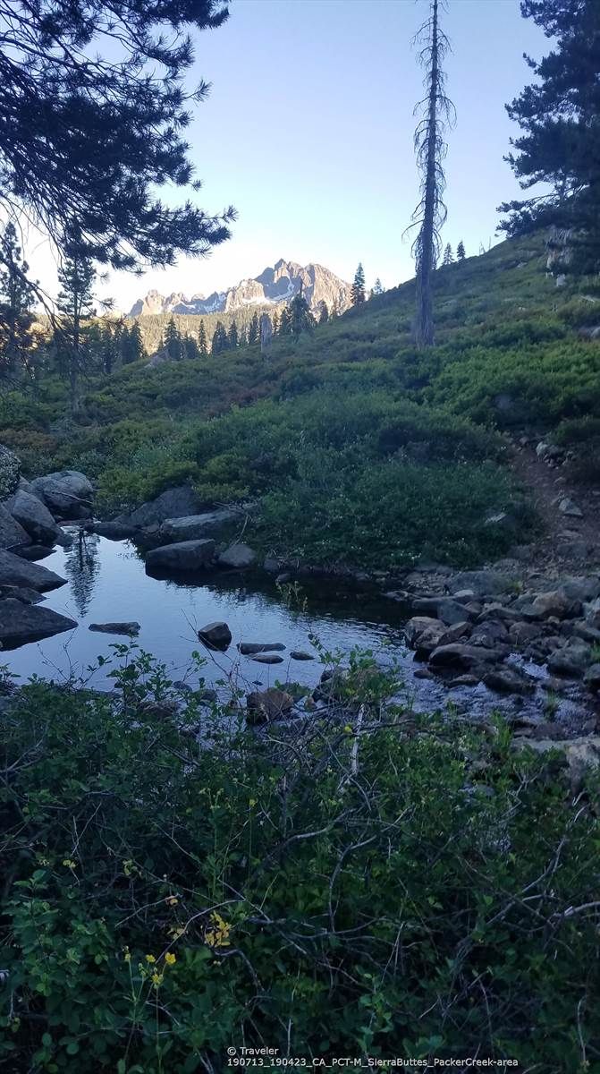 A small stream winds through green bushes, with a distant mountain peak at dawn. - Pacific Crest Trail: Upper Salmon Lake to Packer Lake