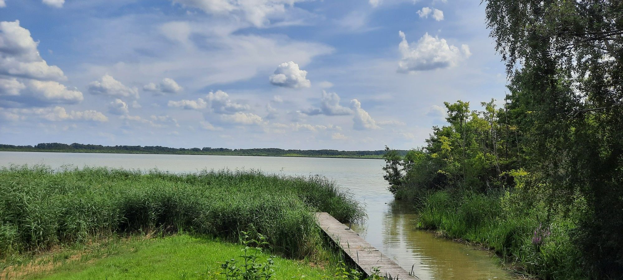 Blick auf den Rietzer See