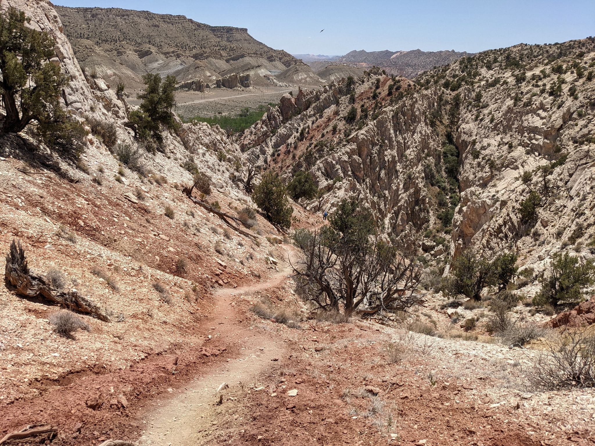 A winding desert trail descends into a rocky canyon under bright sun. - Yellow Rock Trail