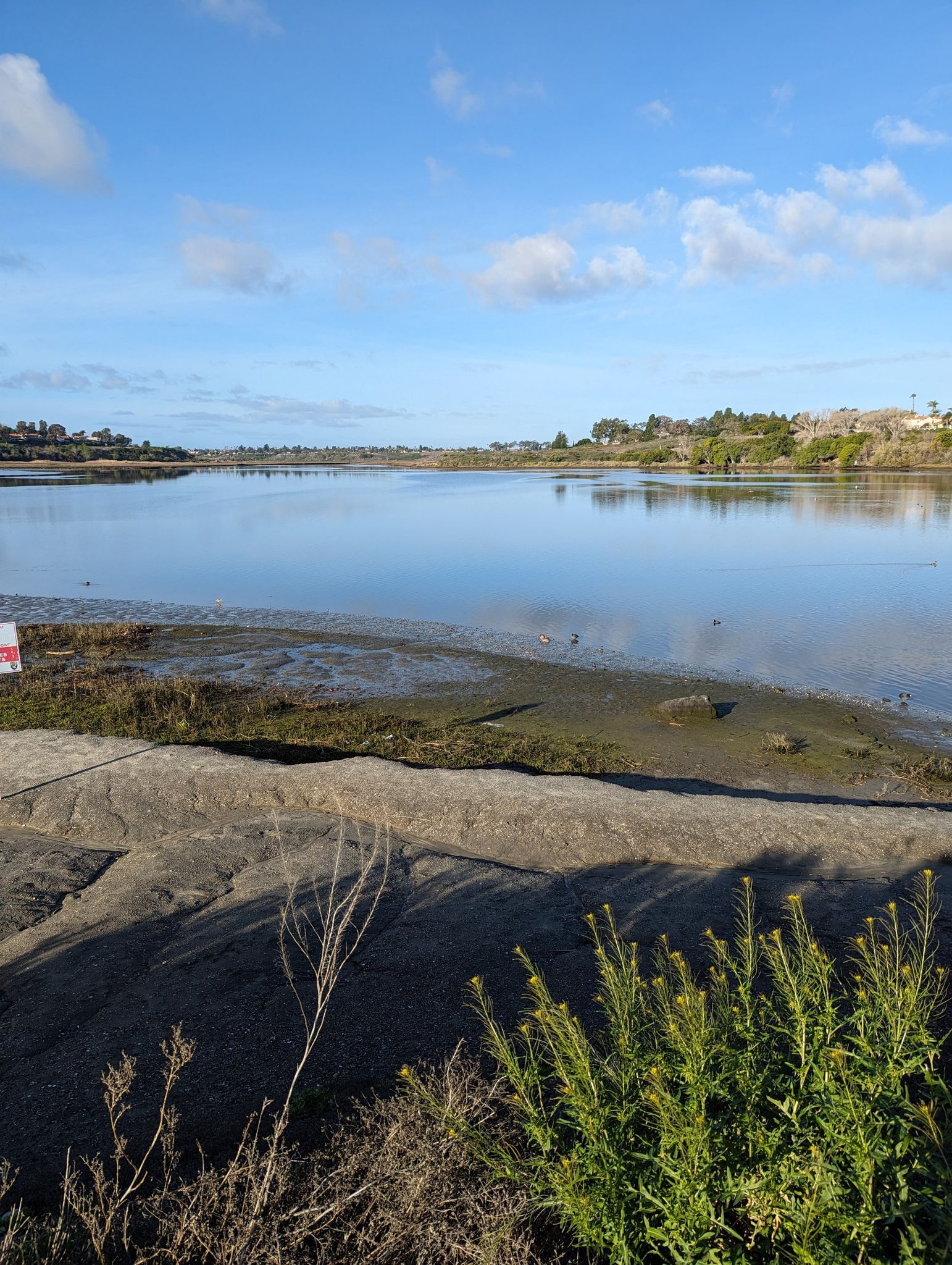 Expansive calm water with muddy banks and distant trees under a blue sky. - Mountains to Sea Trail