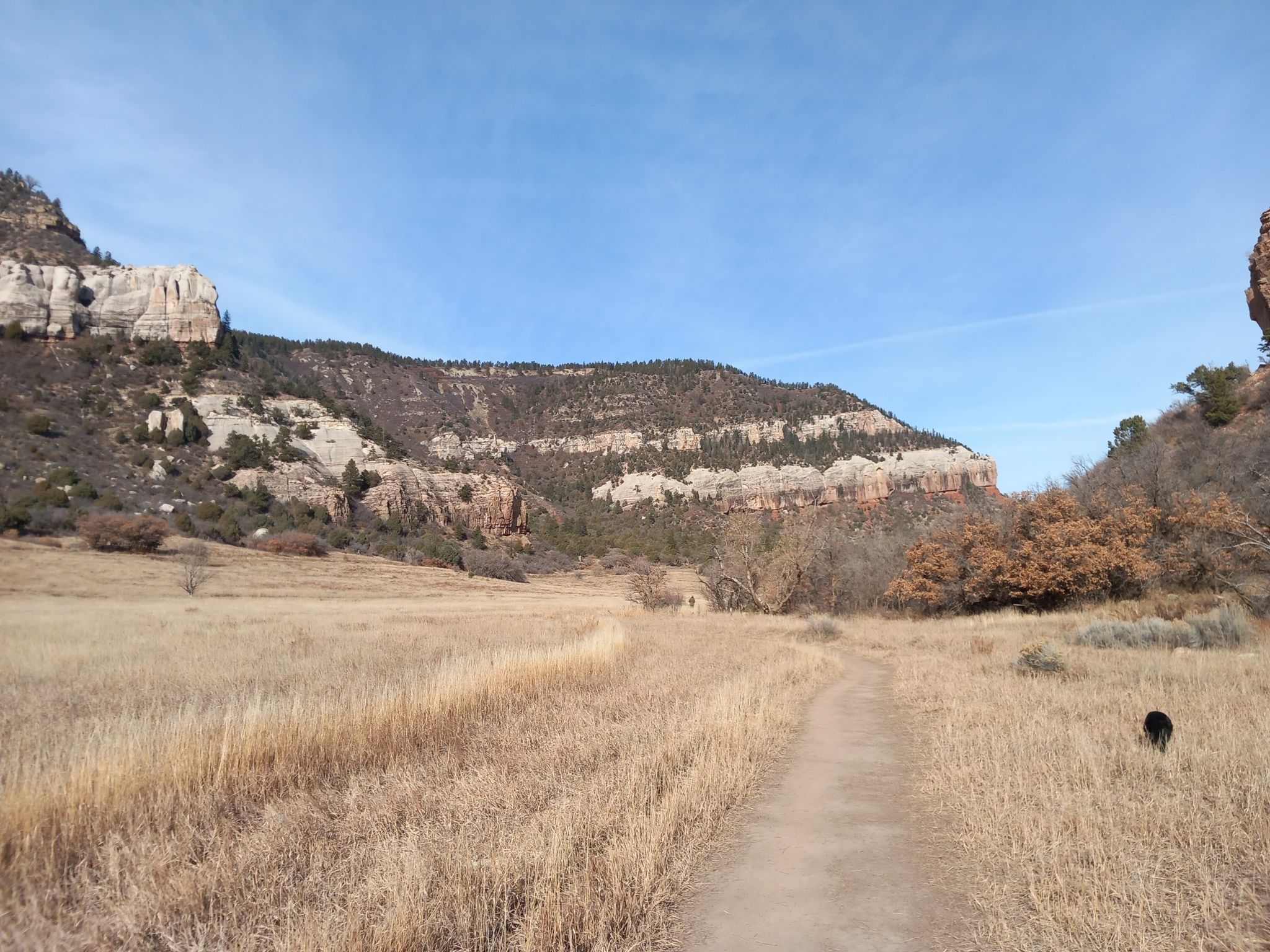 Dirt path through dry grass towards distant cliffs under a clear sky. - Church Camp Trail to Schroeder Tunnel Mine