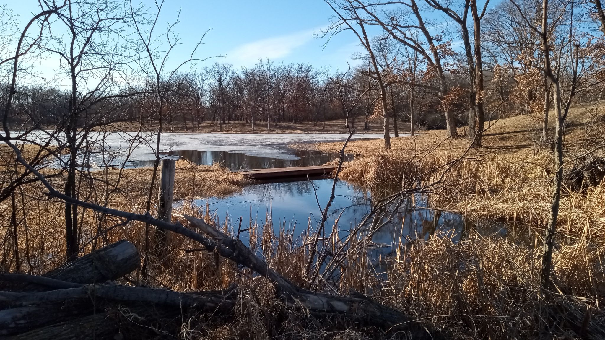 Partially frozen pond with a small dock, surrounded by bare trees and dry grass. - Minnregs Lake Loop