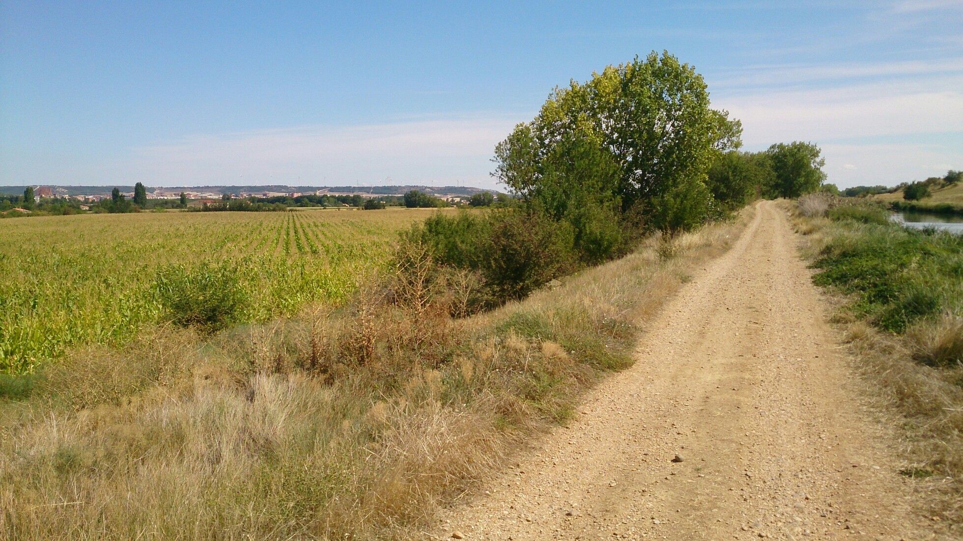 Palencia 