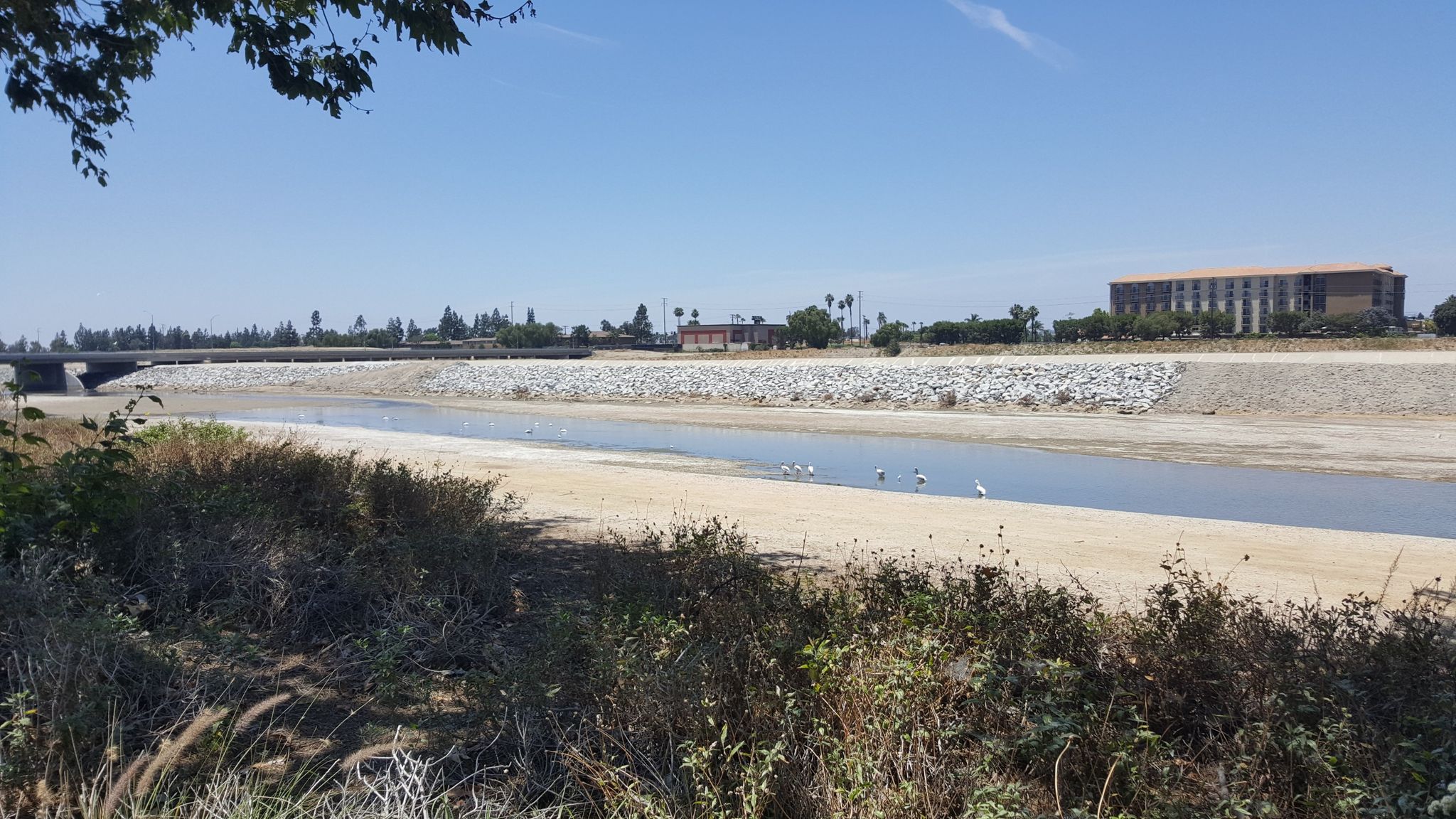 A wide, shallow river with sandy banks under a clear blue sky. - Santa Ana River Trail