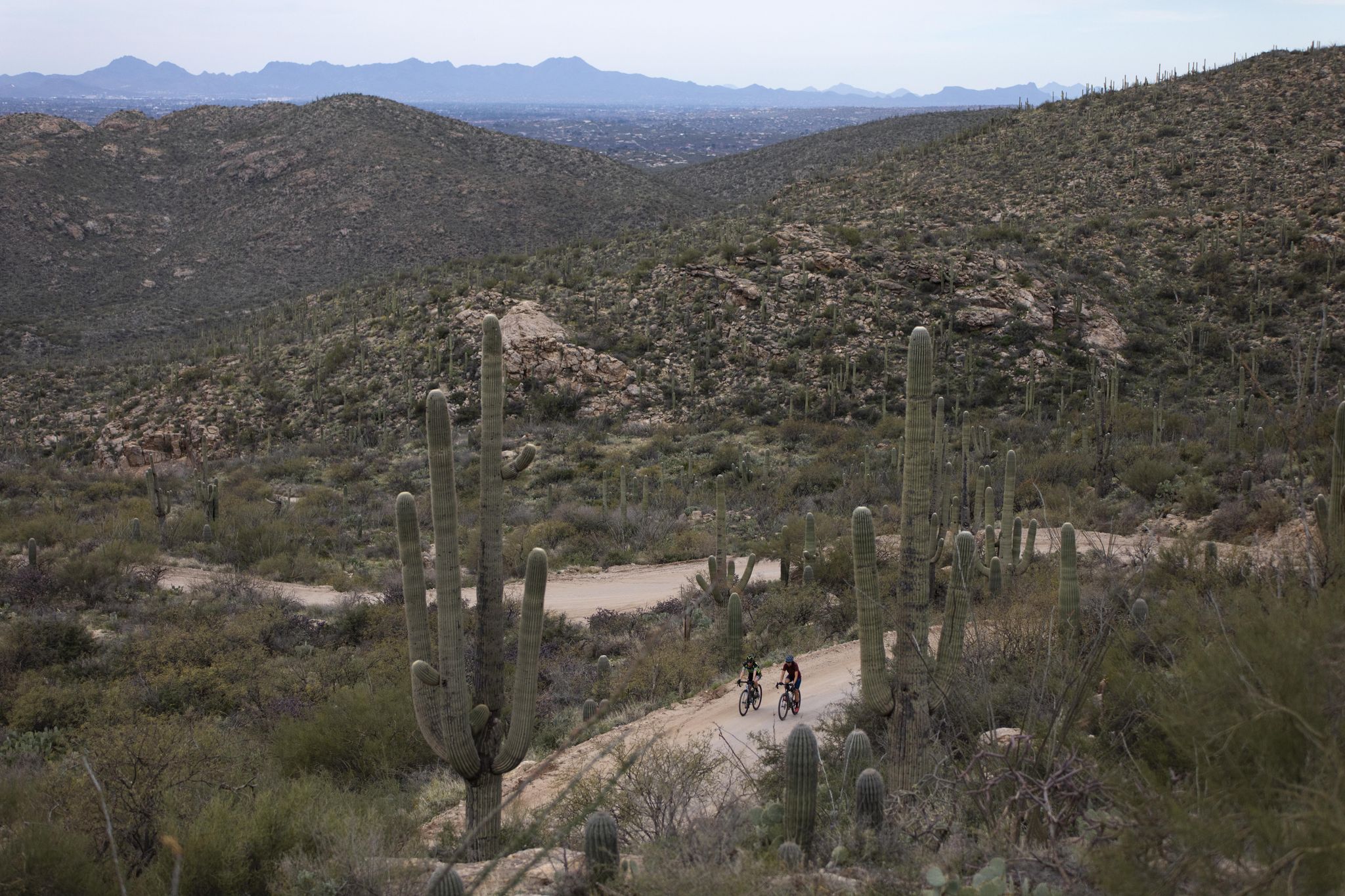 Two cyclists ride on a dirt road through a vast saguaro desert. - Reddington Road (Lower Part) – The Lake on the Arizona Trail loop from Tanque Verde Falls Trailhead