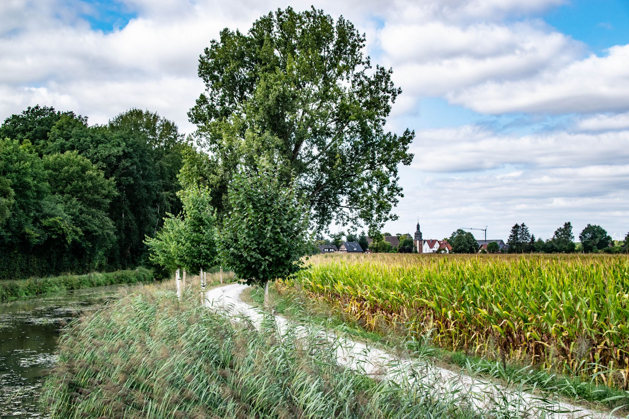 Blick auf Hausdülmen