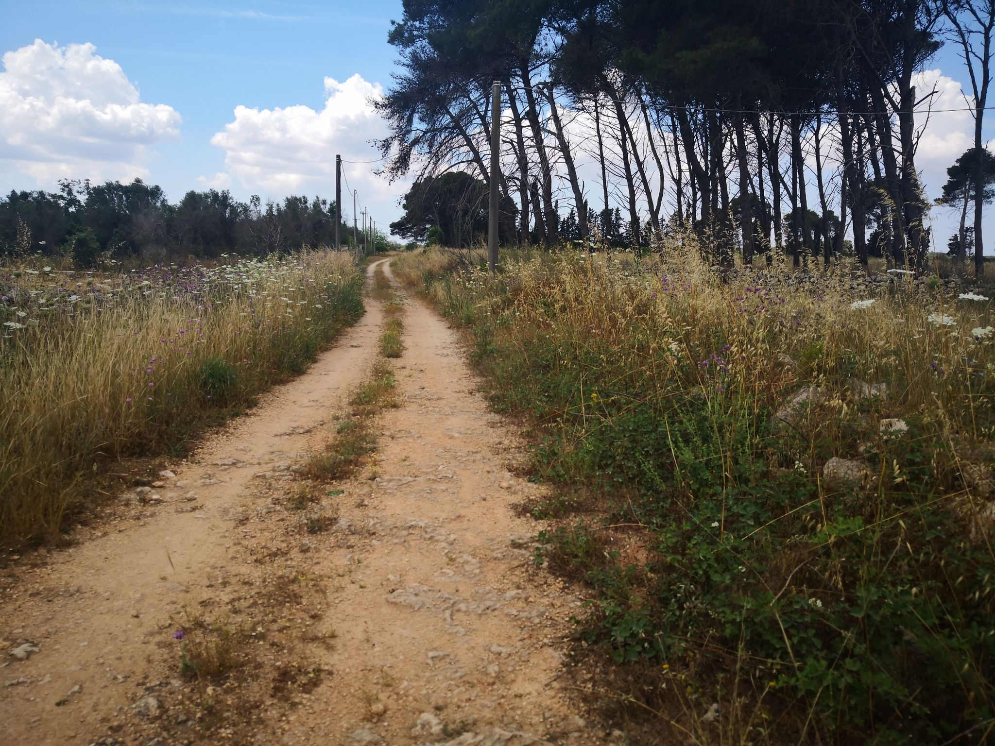 Direzione Ovest