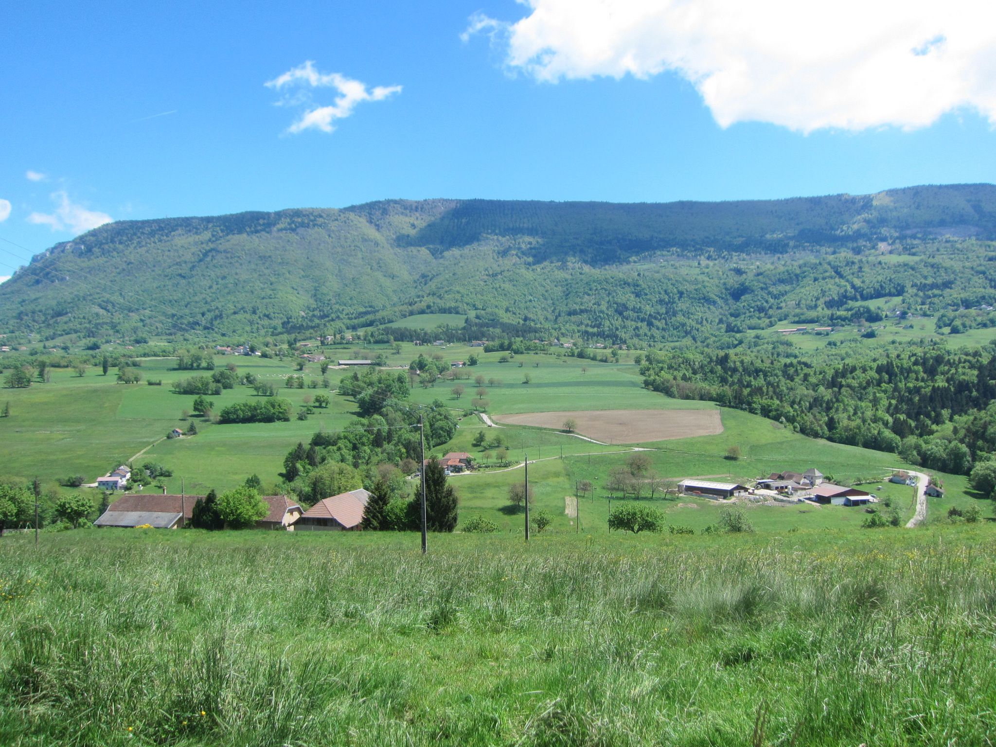 Blick zurück über das Flon-Tal zum Höhezug Mont du Chat