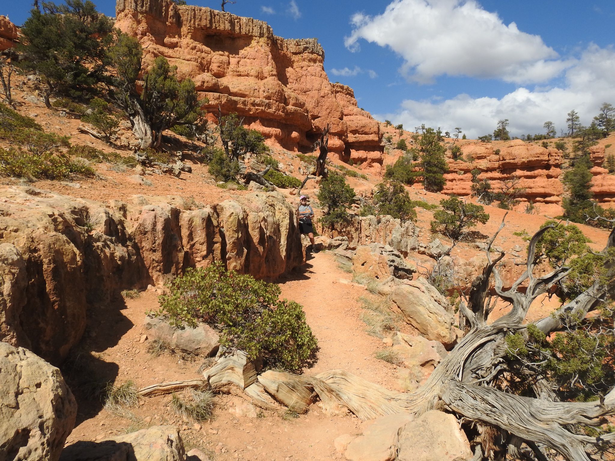 Person hiking on a dirt path through red rock formations under a partly cloudy sky. - Hiking loop from Black Mountain
