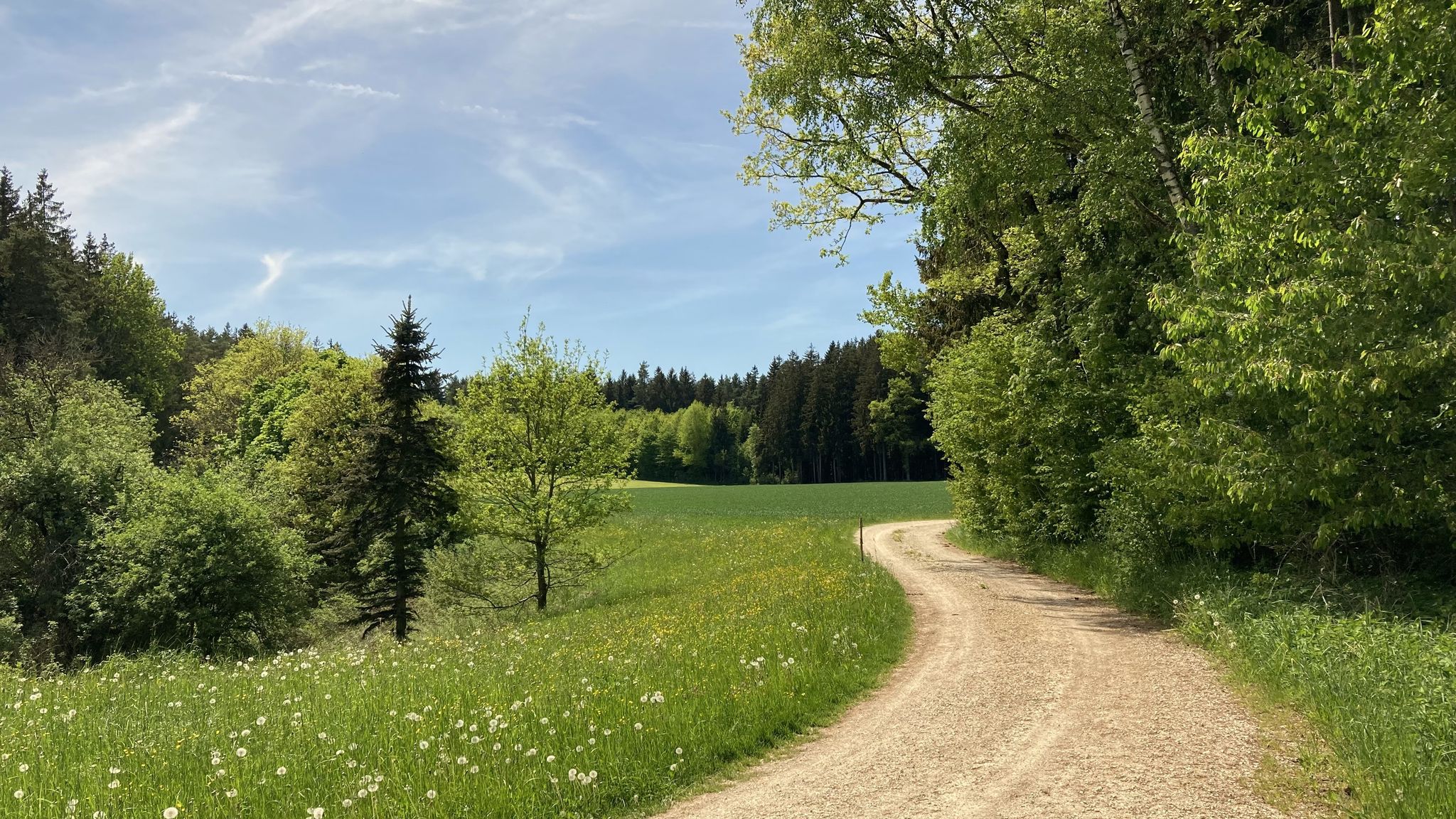 die letzten 4 km ein Traum