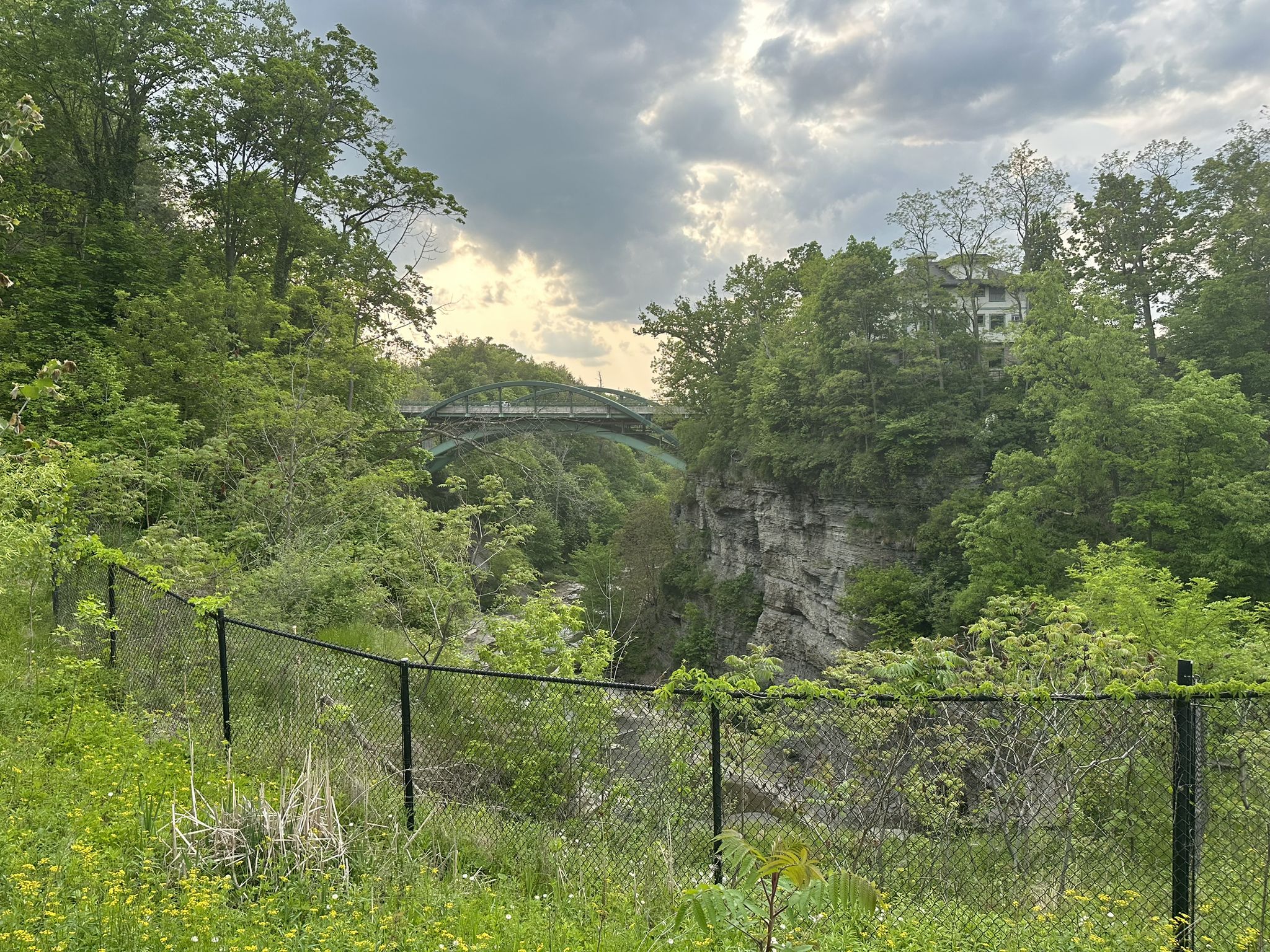 Distant bridge over a deep gorge, framed by dense green trees and a fence. - Beebe Lake
