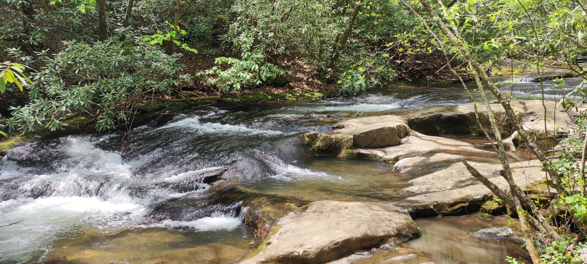 Rushing stream with large rocks in a sunlit, lush green forest. - Hemlock Falls Trail