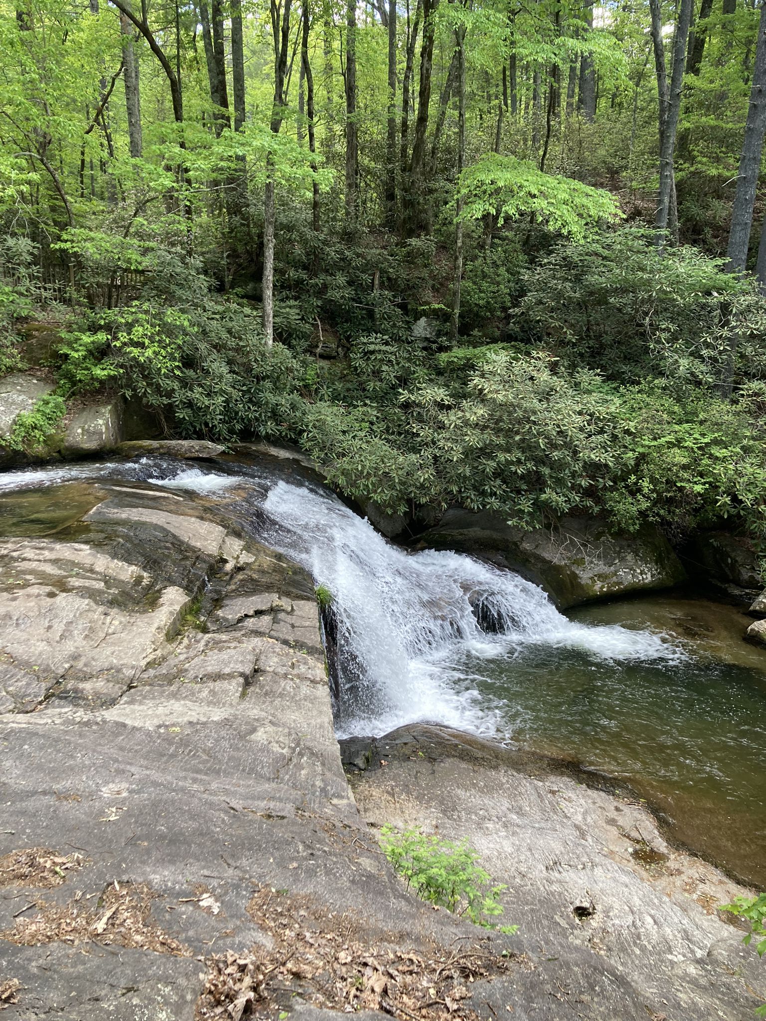 A small waterfall flows over smooth rocks into a clear pool in a forest. - High Shoals Falls loop from Chestnut Knob