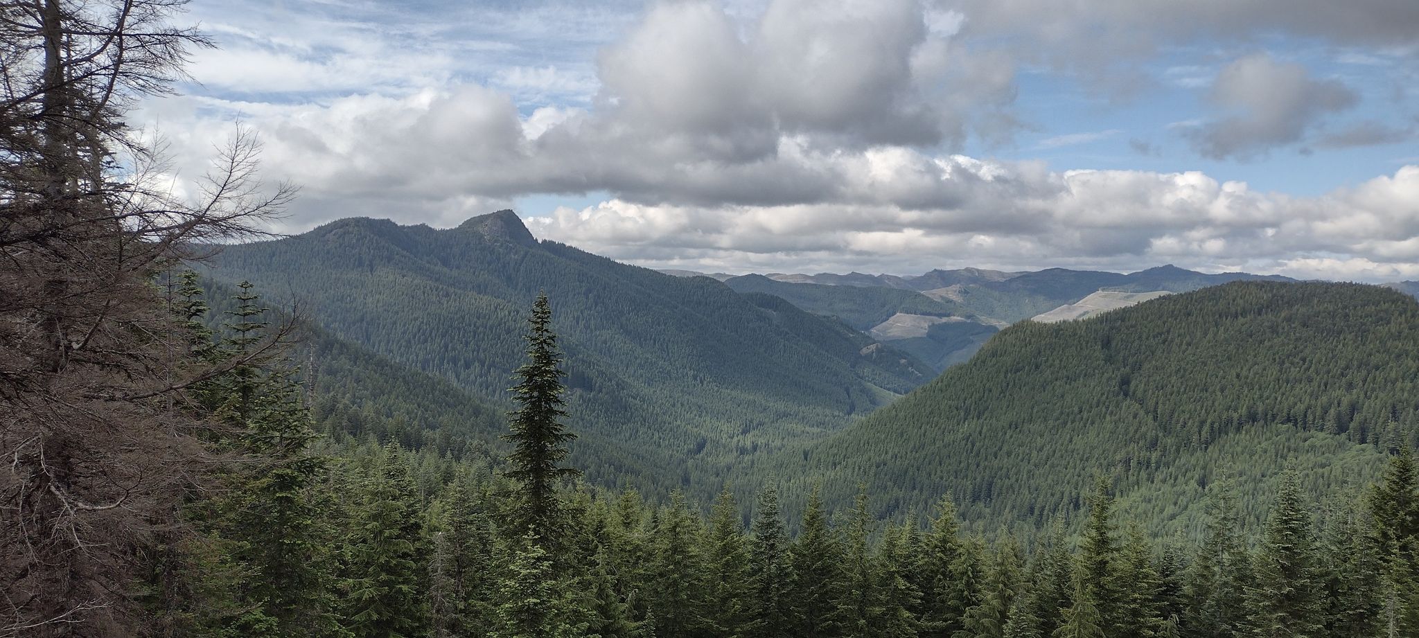 Panoramic view of forested mountains under a partly cloudy sky. - Pechuck Lookout