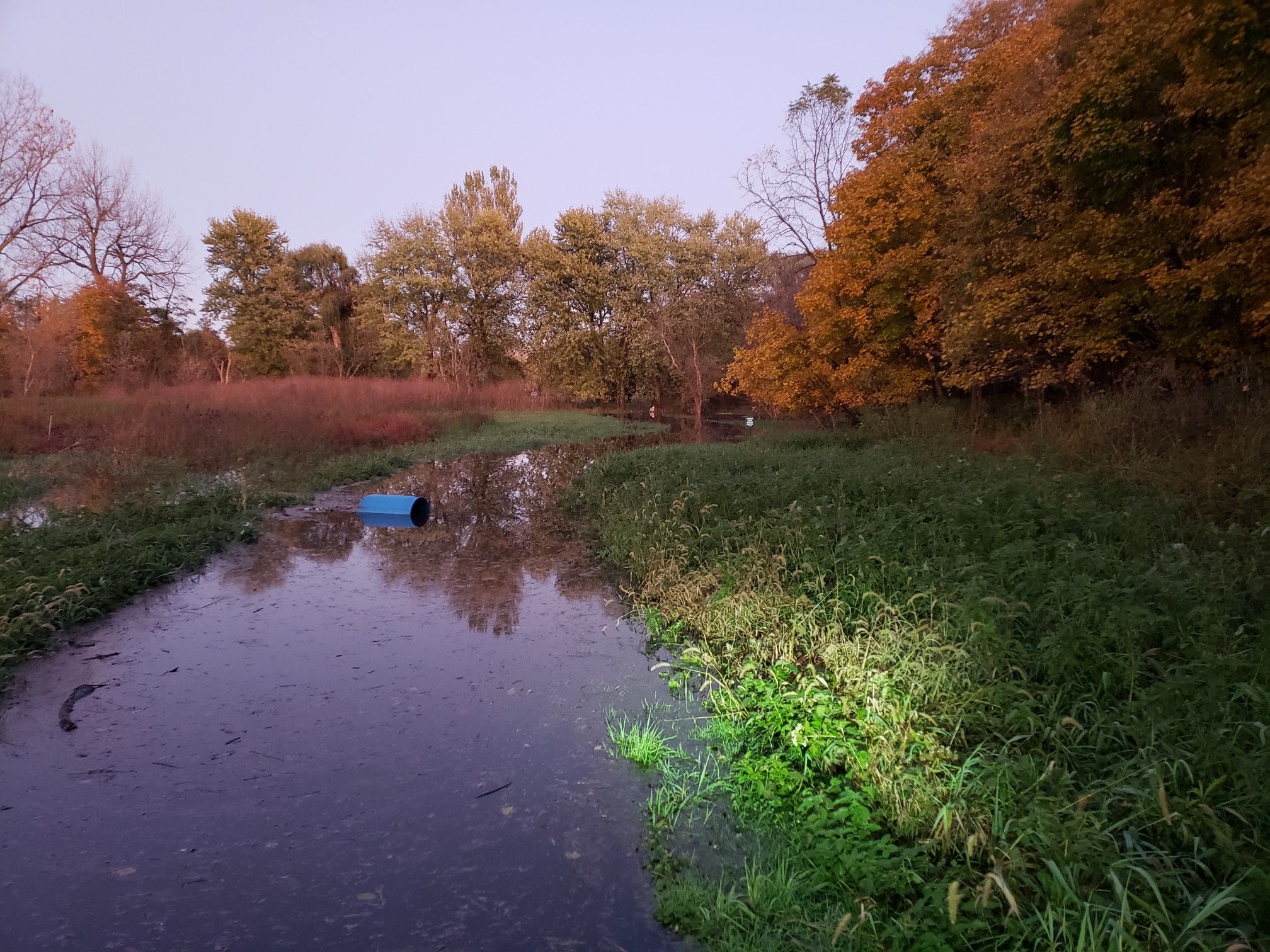 Dark stream flowing through overgrown banks with autumn trees under soft light. - DuPage River Greenway – Hidden Lakes Park loop from Bolingbrook