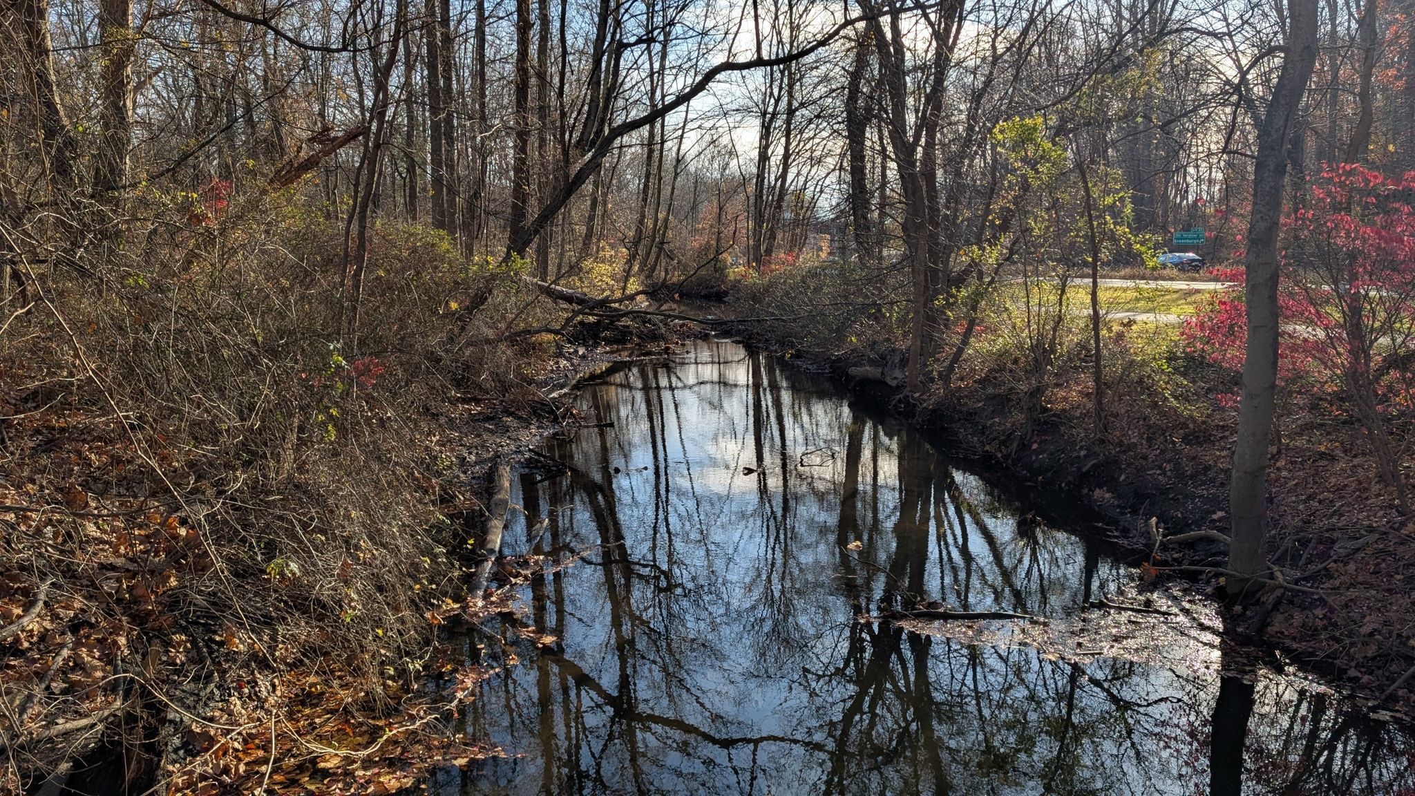 Narrow stream reflecting bare trees and blue sky in a sunny wooded area. - Armonk Loop
