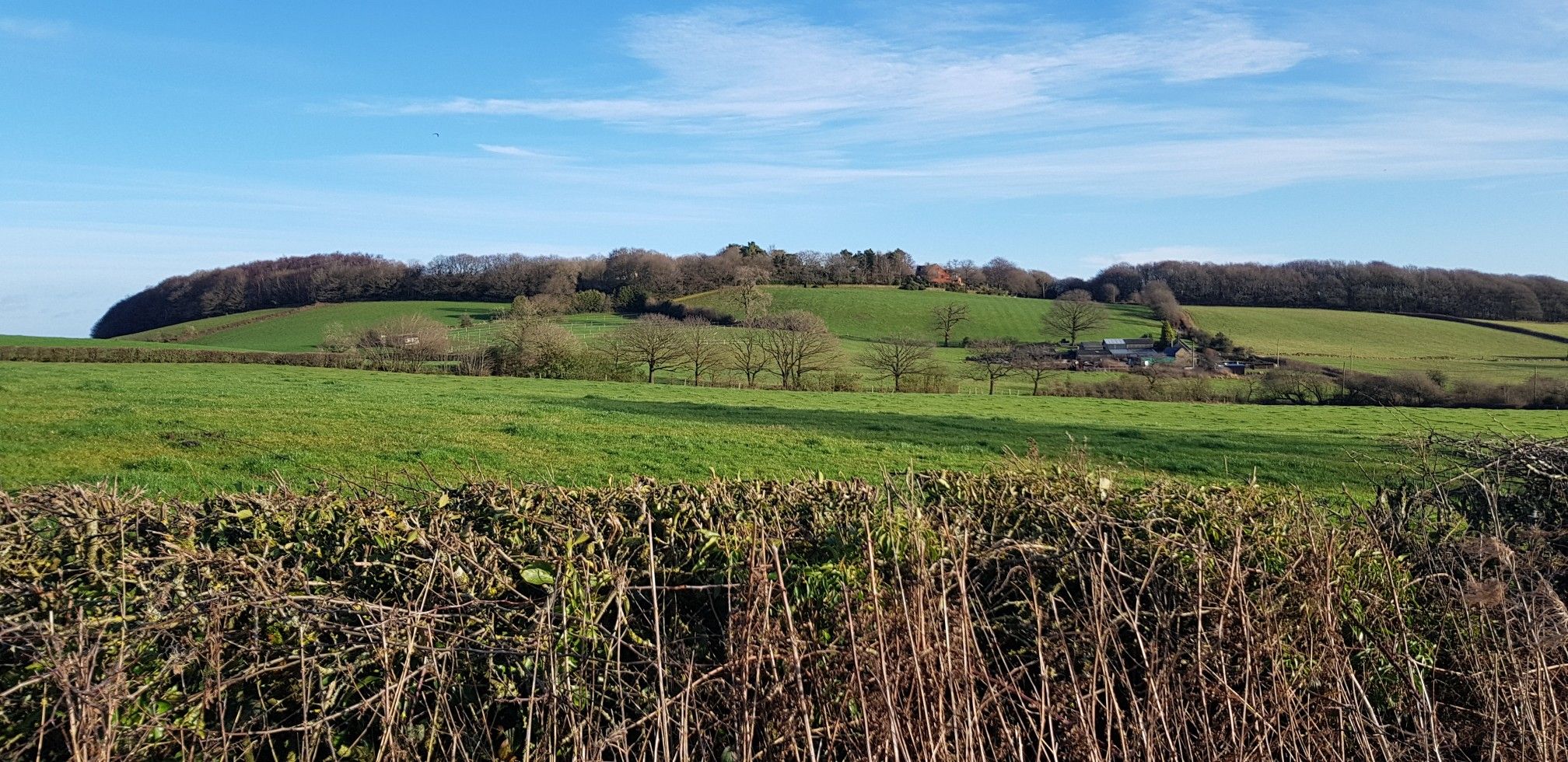 Bole Hill