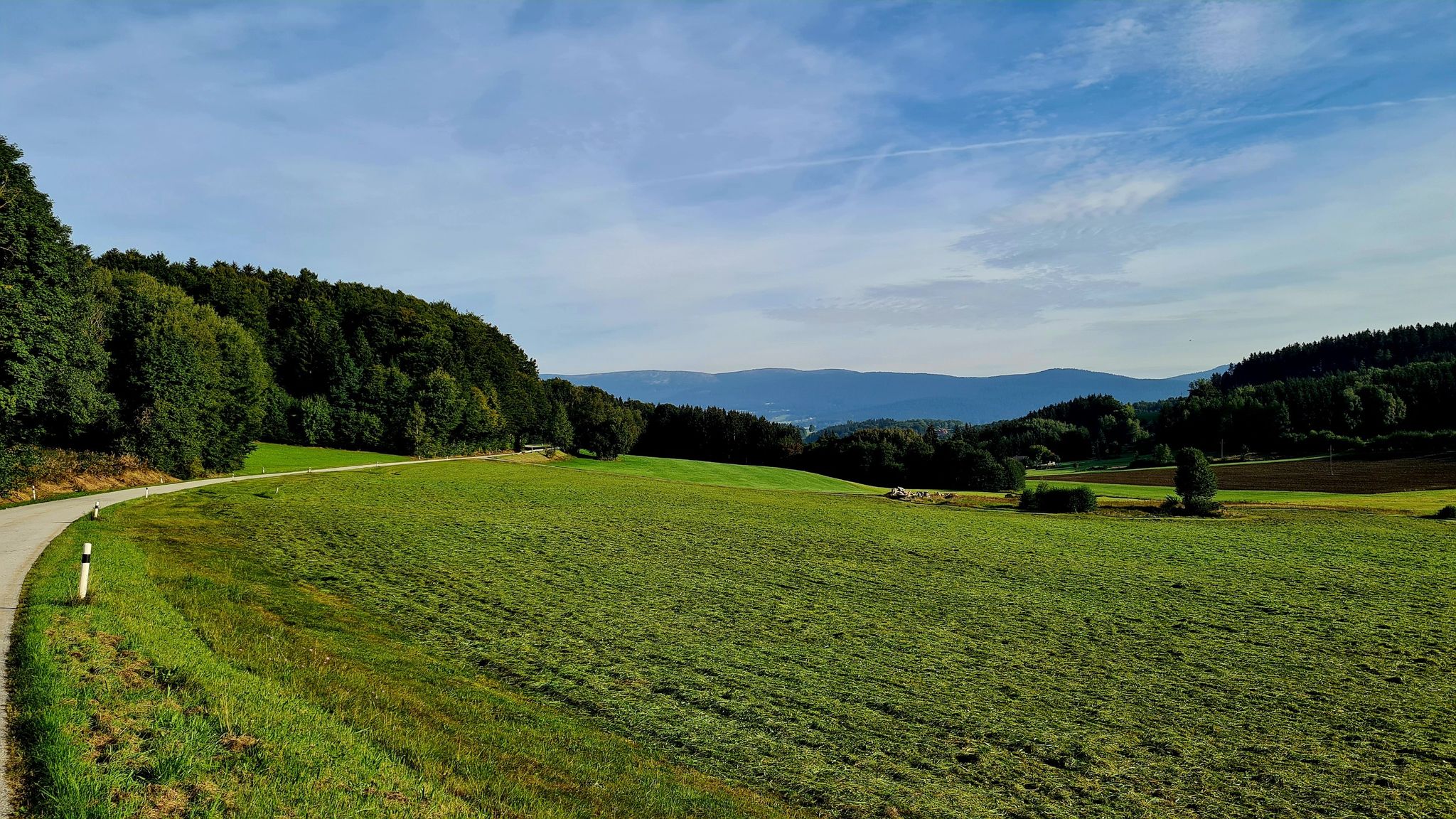 Blick zum Dreisesselmasiv