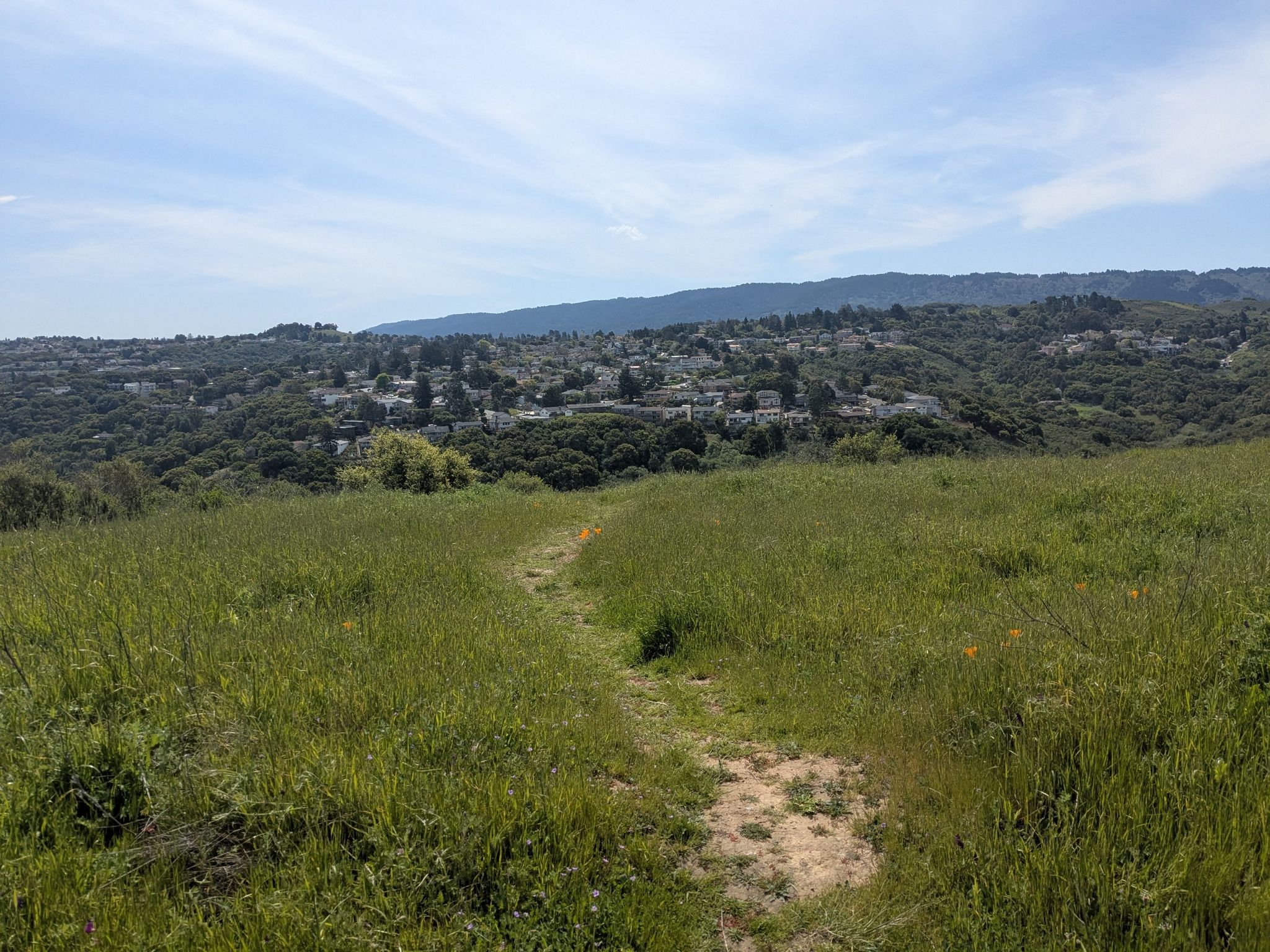 Dirt path through green grassy hills with distant houses under a bright sky. - Sugarloaf Mountain loop from Laurelwood Park