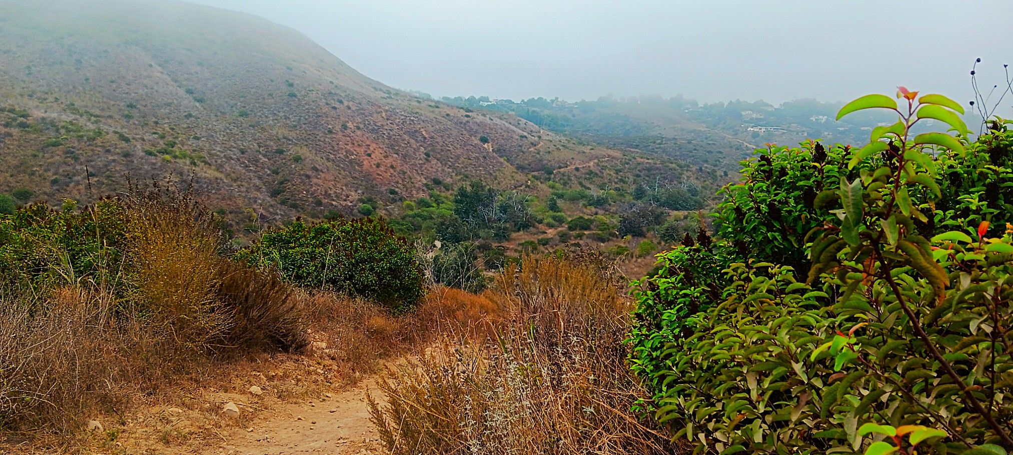 A view of hazy, brush-covered hills and a valley from a dirt path. - Ocean View and Canyon View Trail Loop