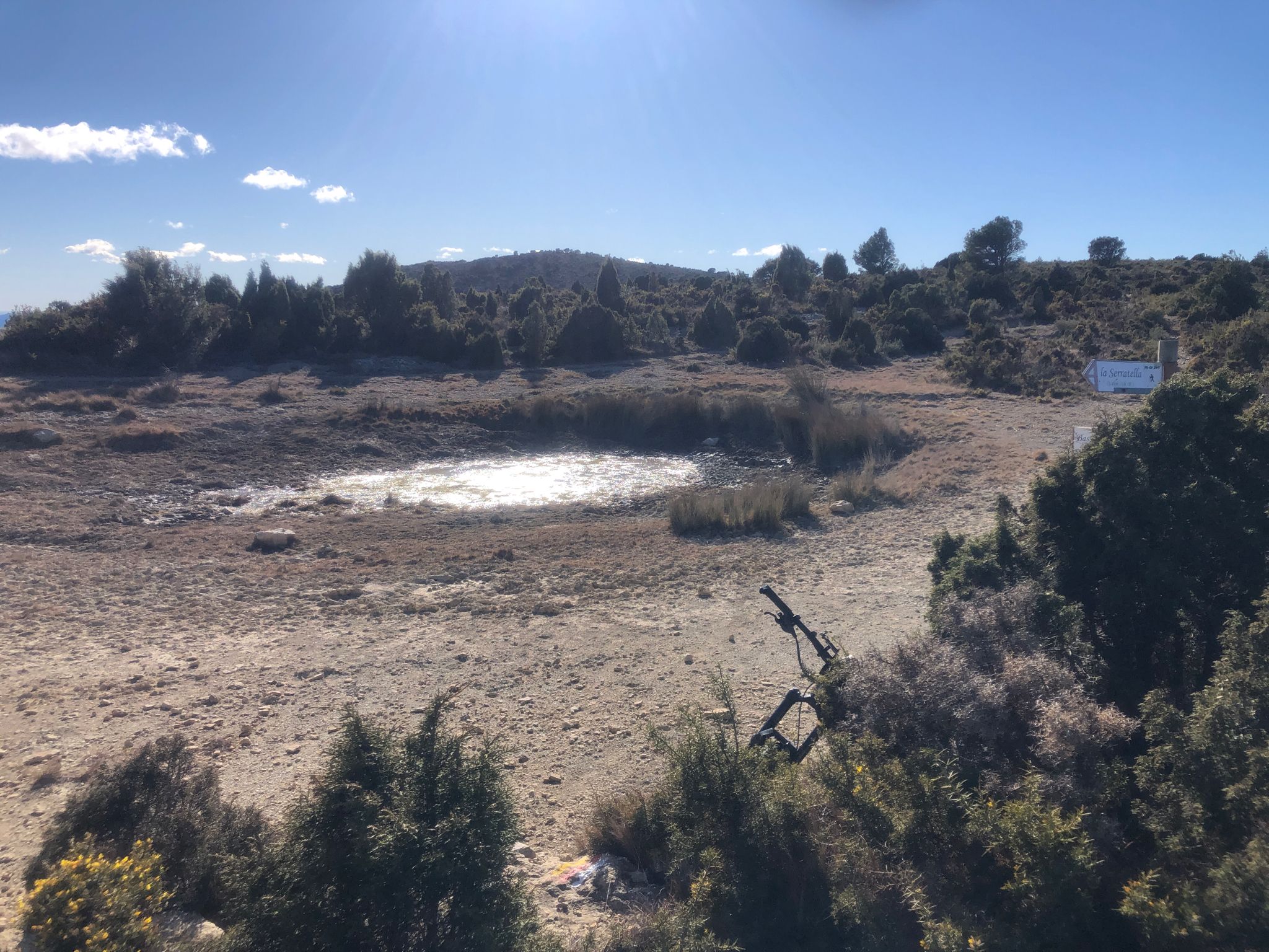 Bassa del Bosc