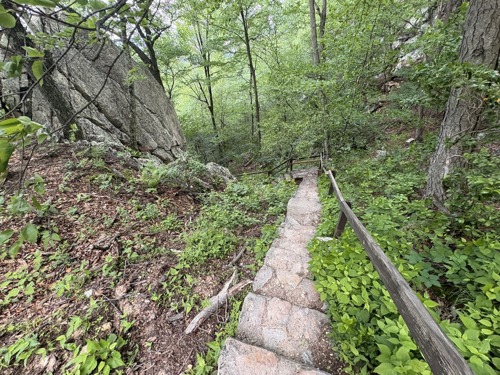 Stone steps descending into a lush green forest with large boulders. - West View – East View loop from Sugarloaf Mountain