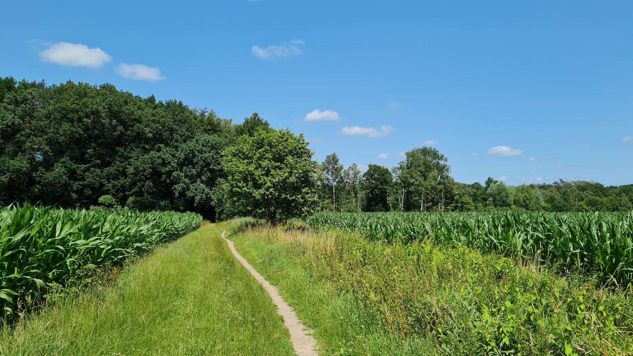 unterwegs nach Telgte