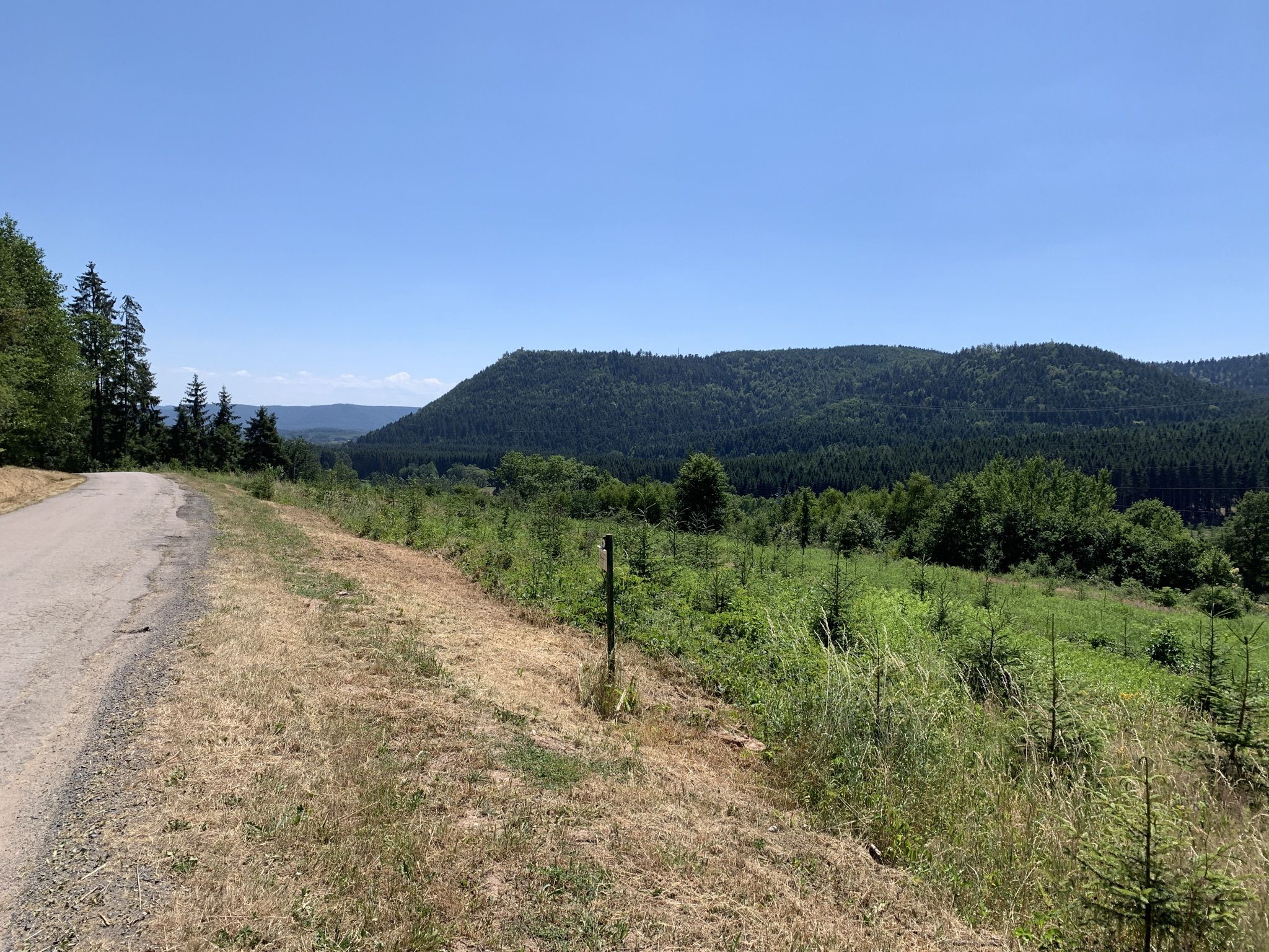 Nice view into the Vosges