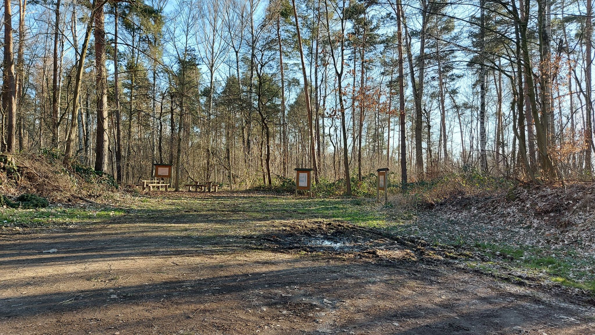 Wieder am Waldparkplatz