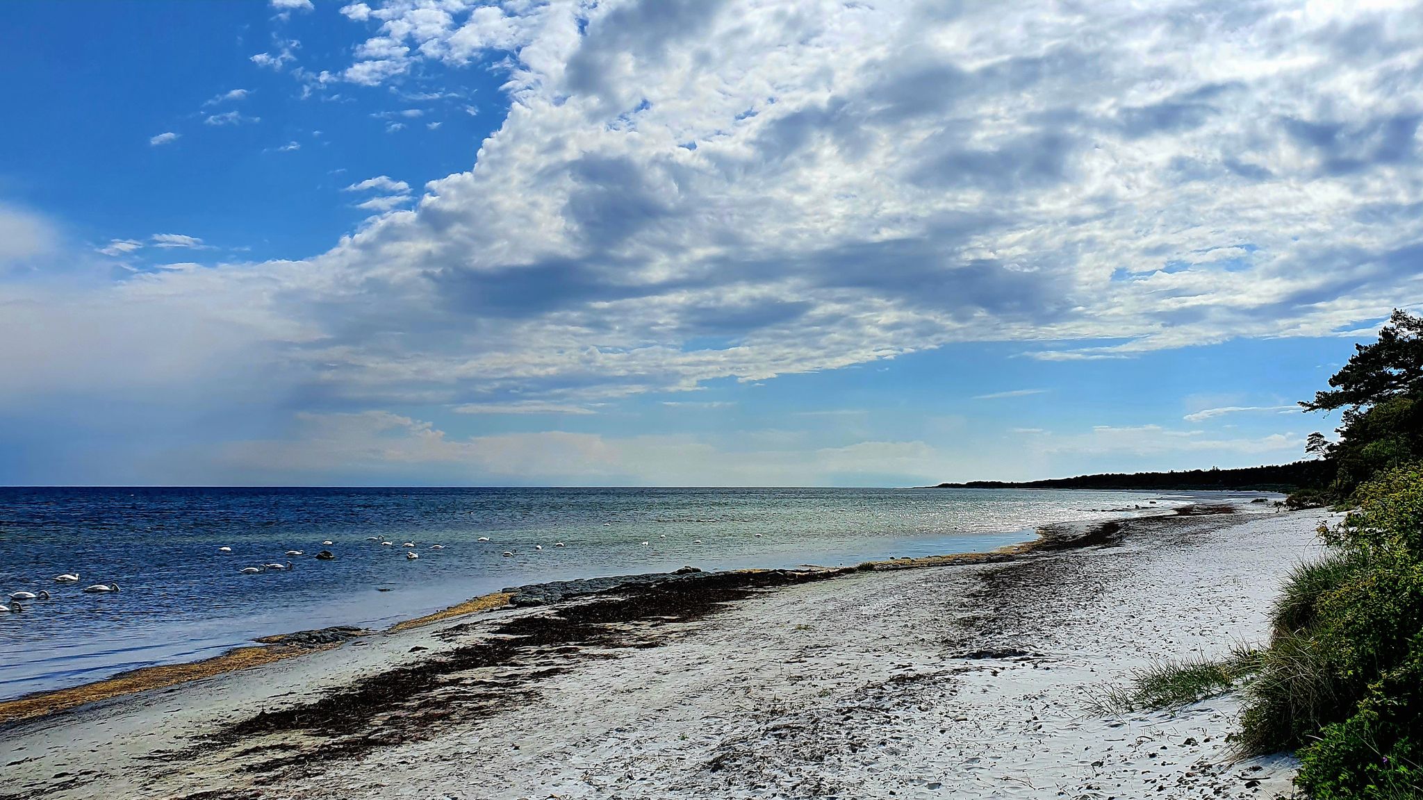 letzter Blick auf die Ostsee: war ein schöner Tag👌