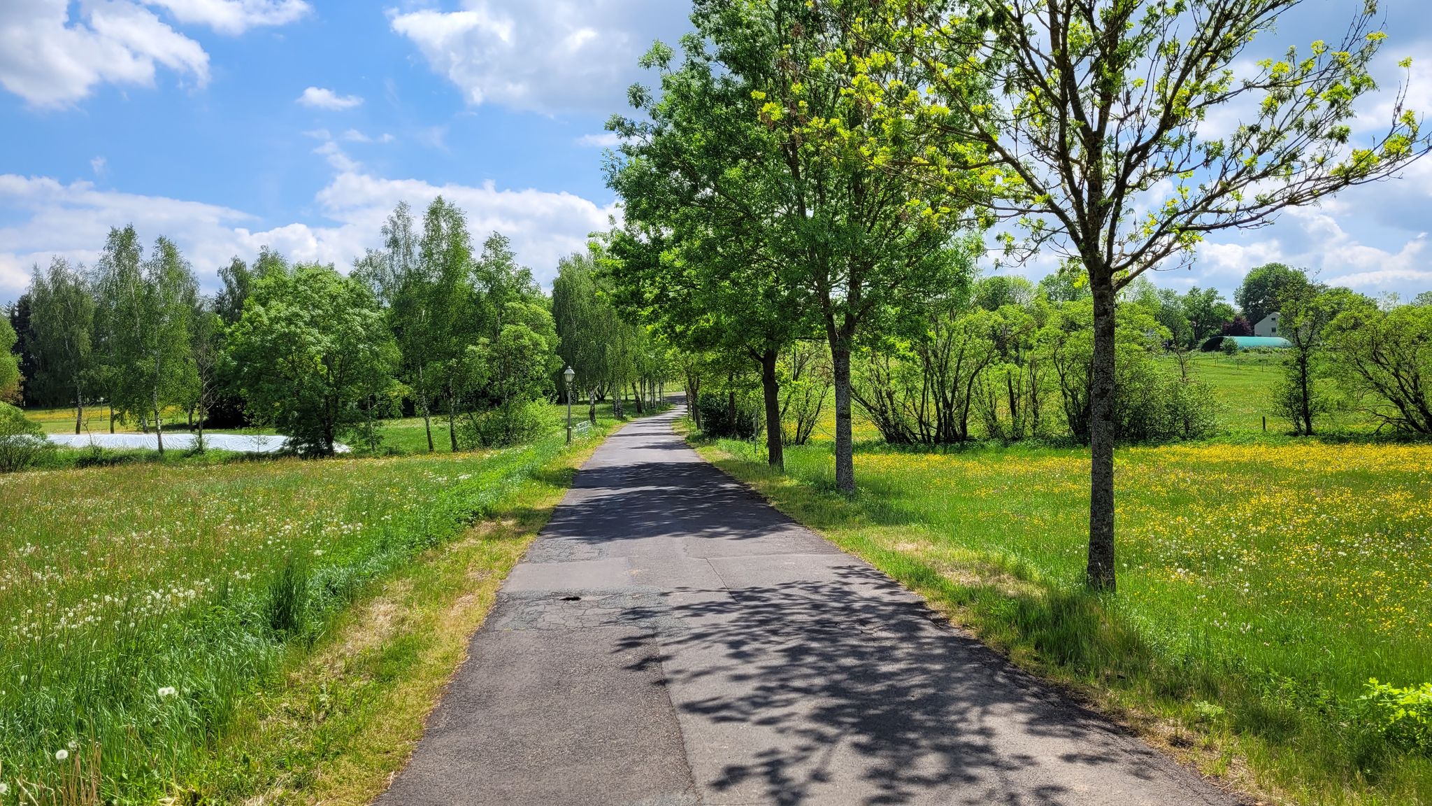 Blick auf Vogelsbergdorf Kolping-Feriendorf
