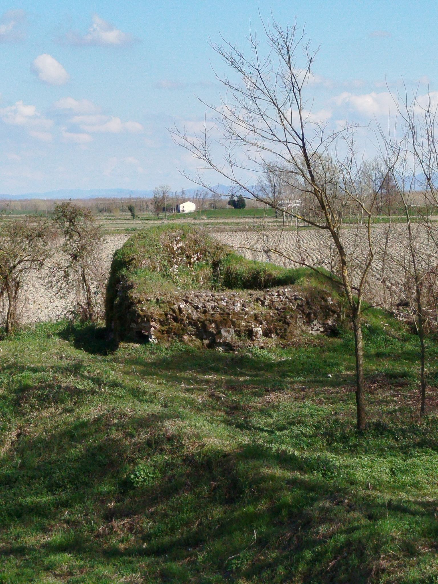 Suardi - Bric di San Martino