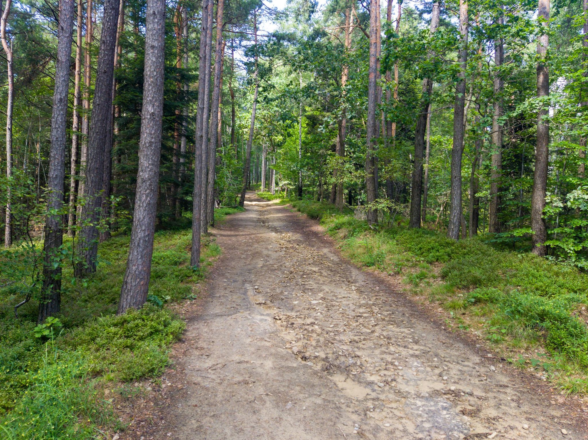 Stąd już tylko 700m do szczytu.