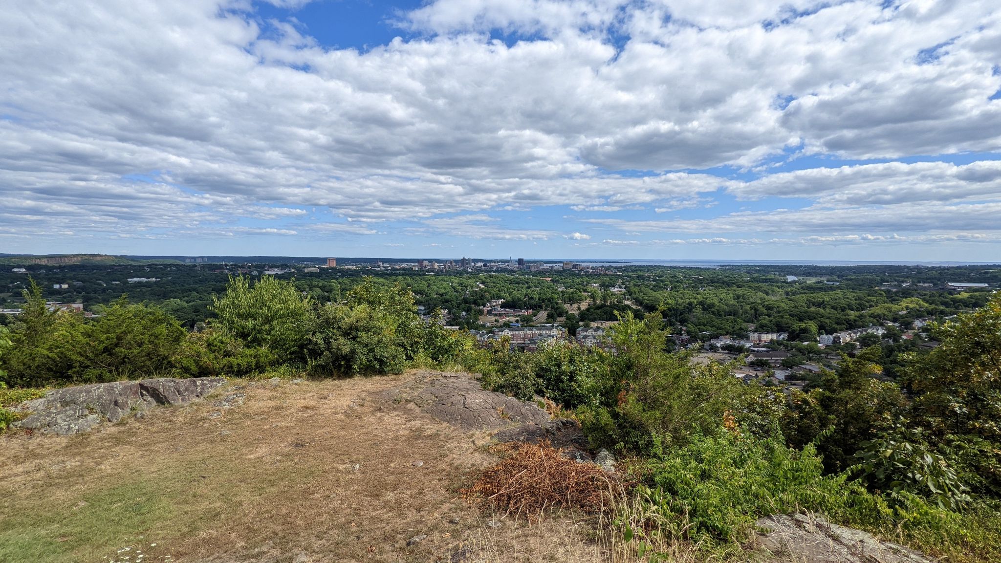 Panoramic view of a distant city skyline over green trees under a cloudy sky. - Regicides and Westville Feeder Loop