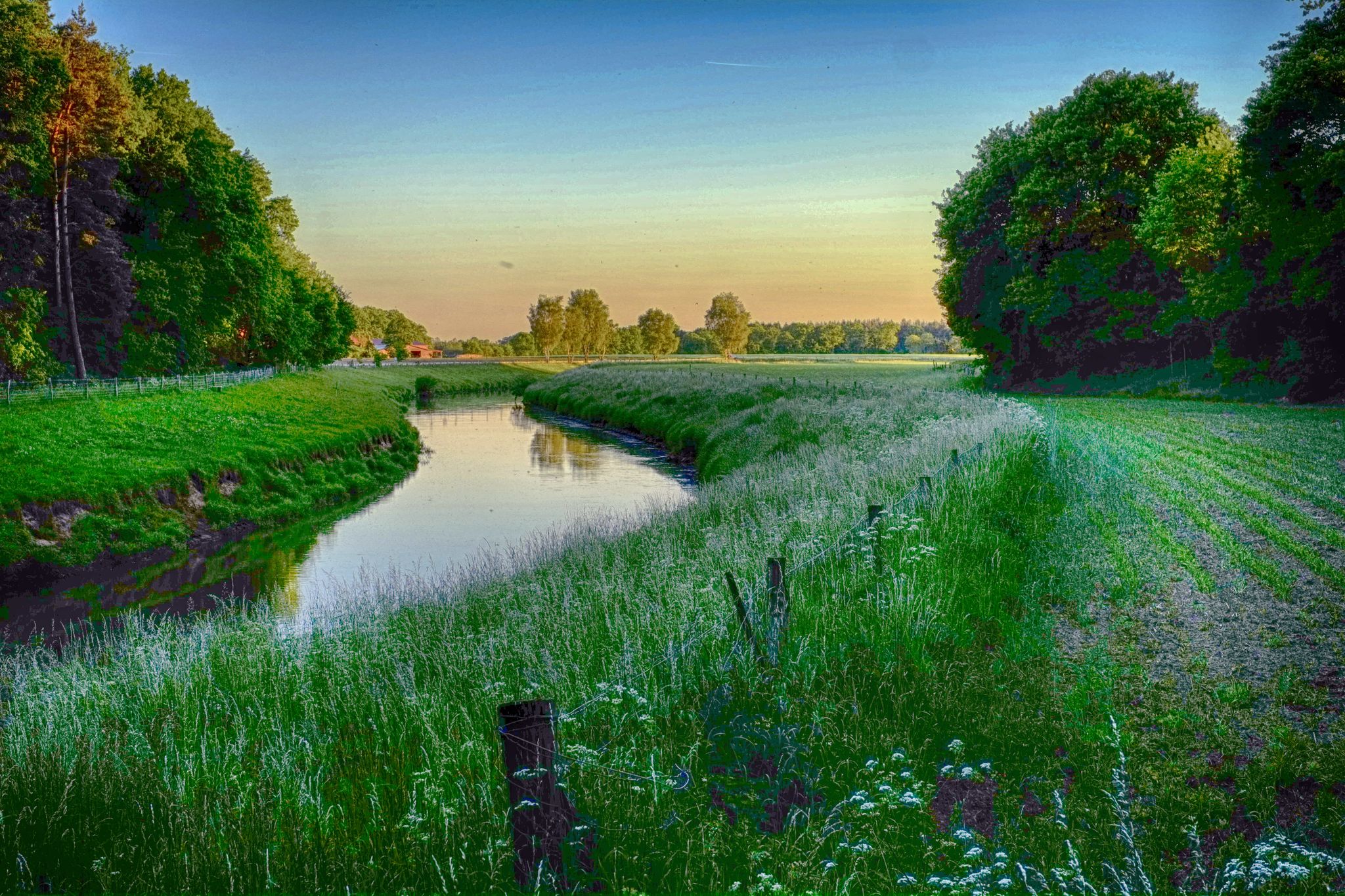Hase bei Löningen